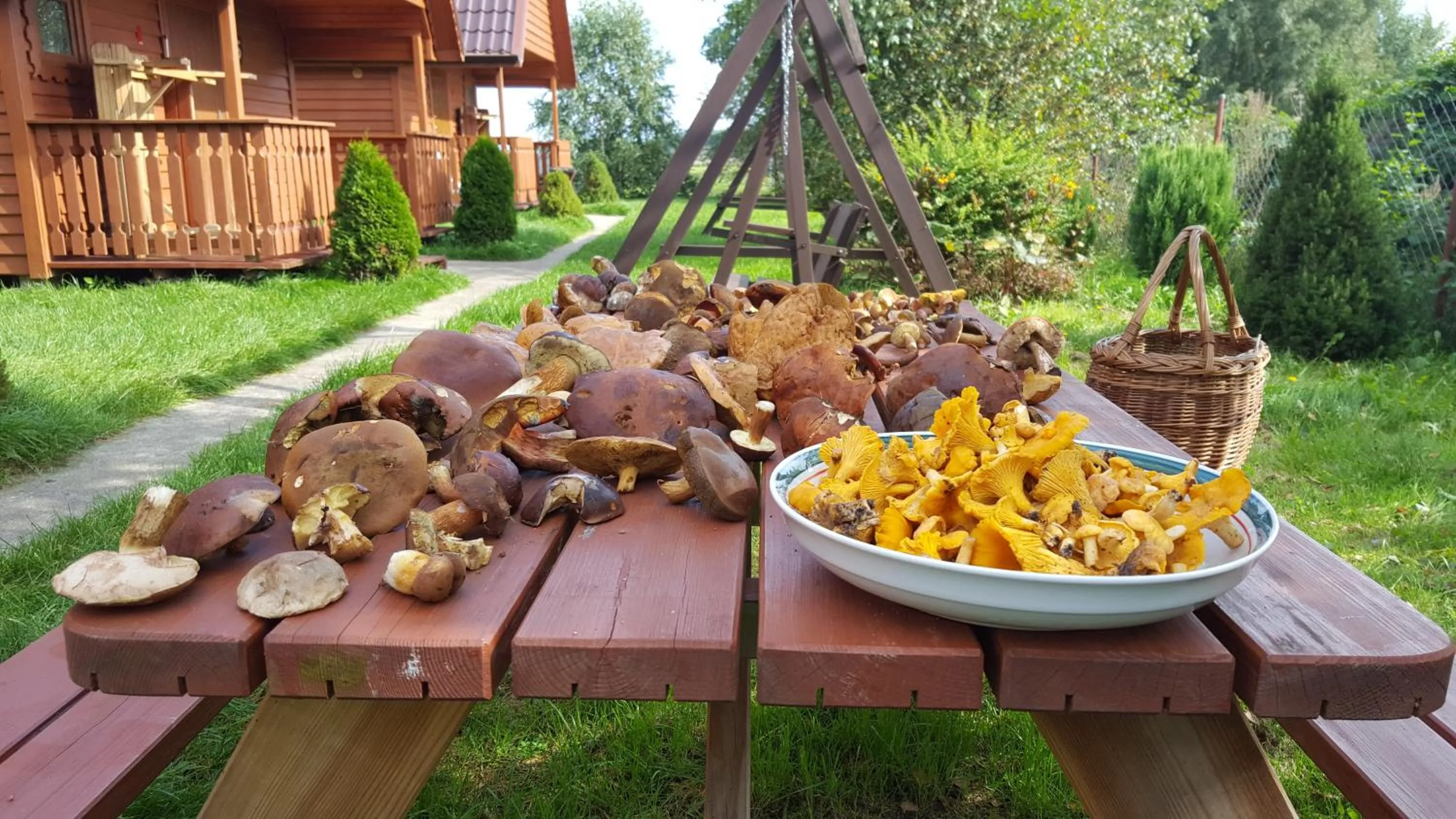 KANZAS
