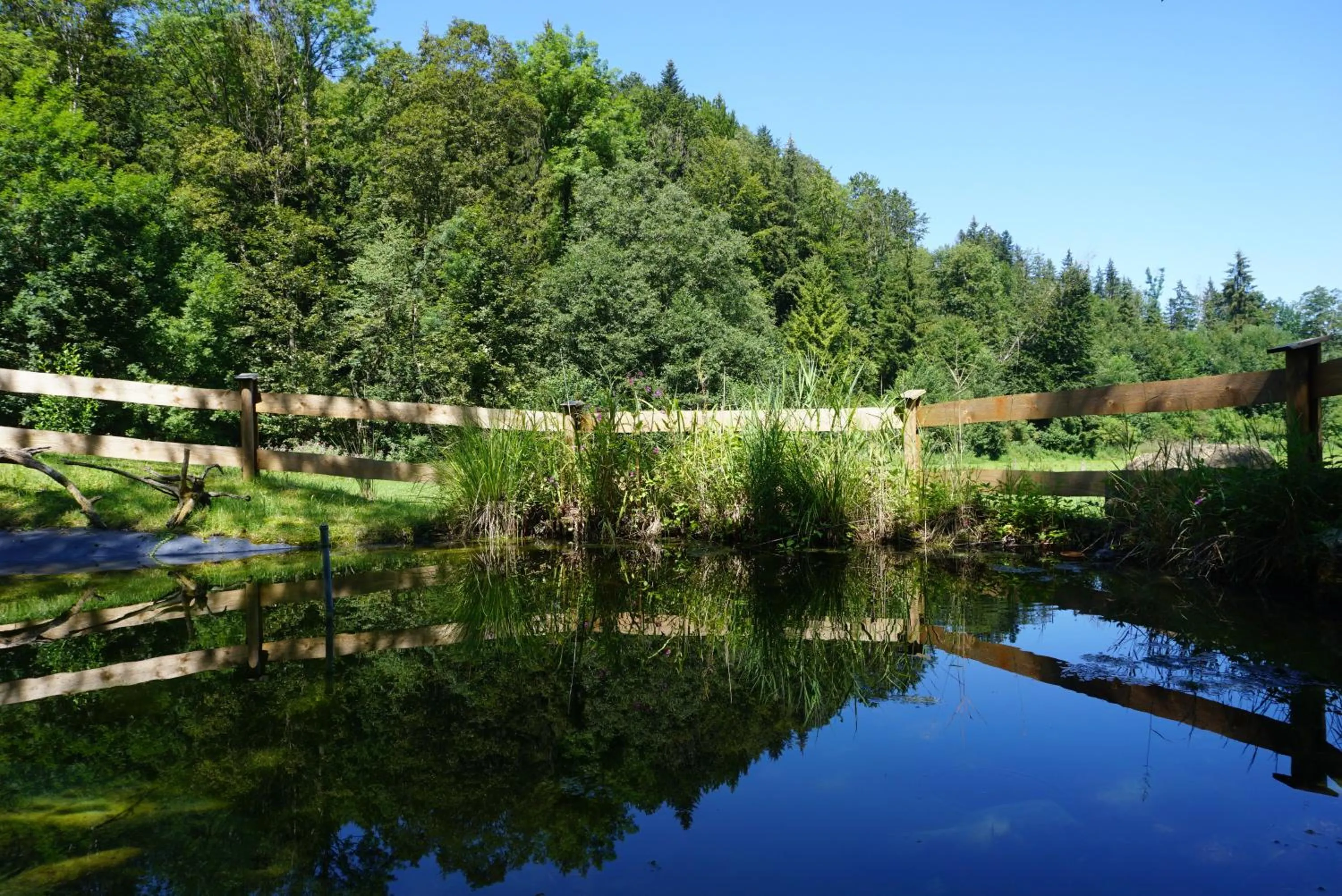 Natural landscape in Landgasthof Auerschmiede