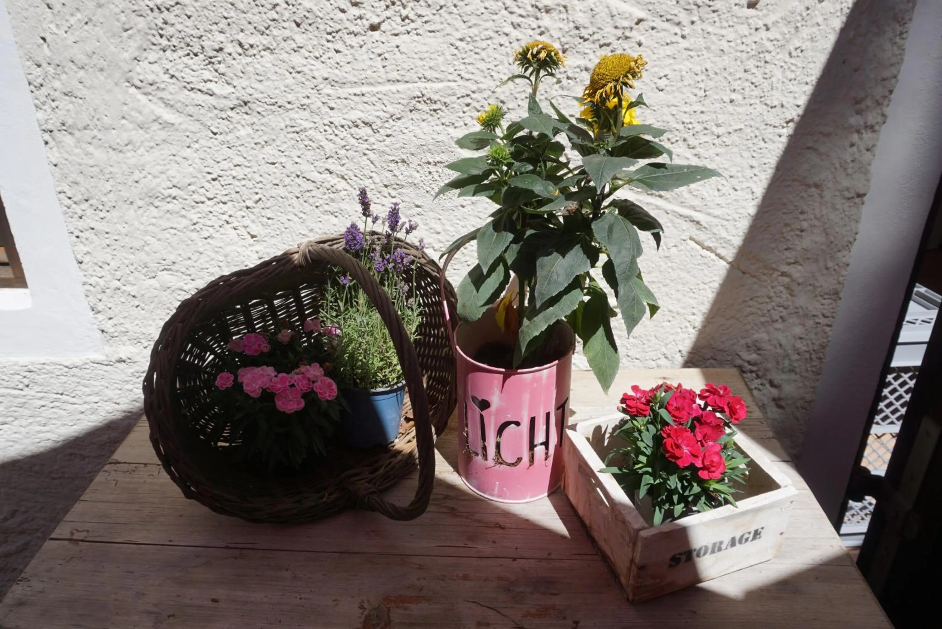 Garden in Landgasthof Auerschmiede