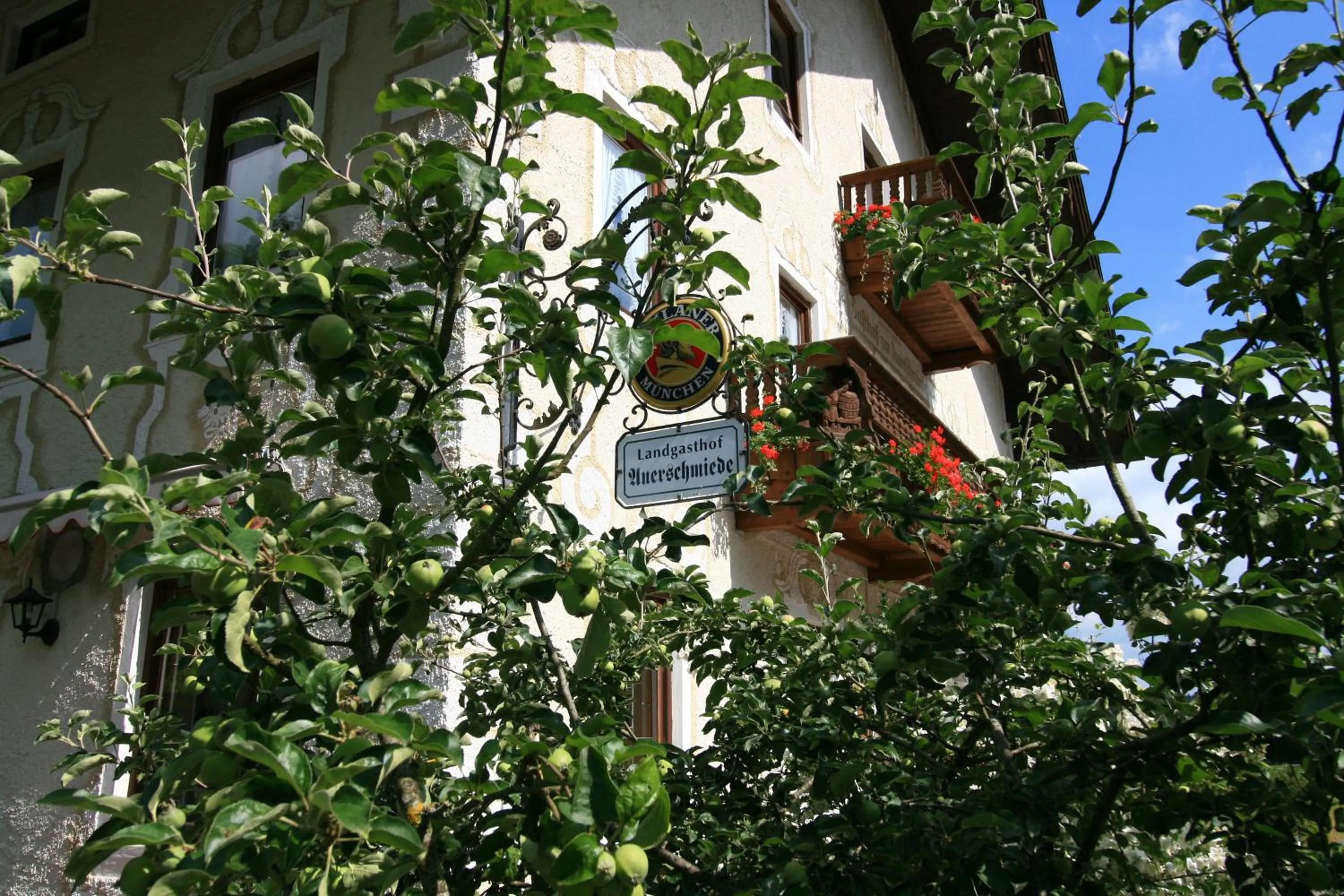 Property building in Landgasthof Auerschmiede