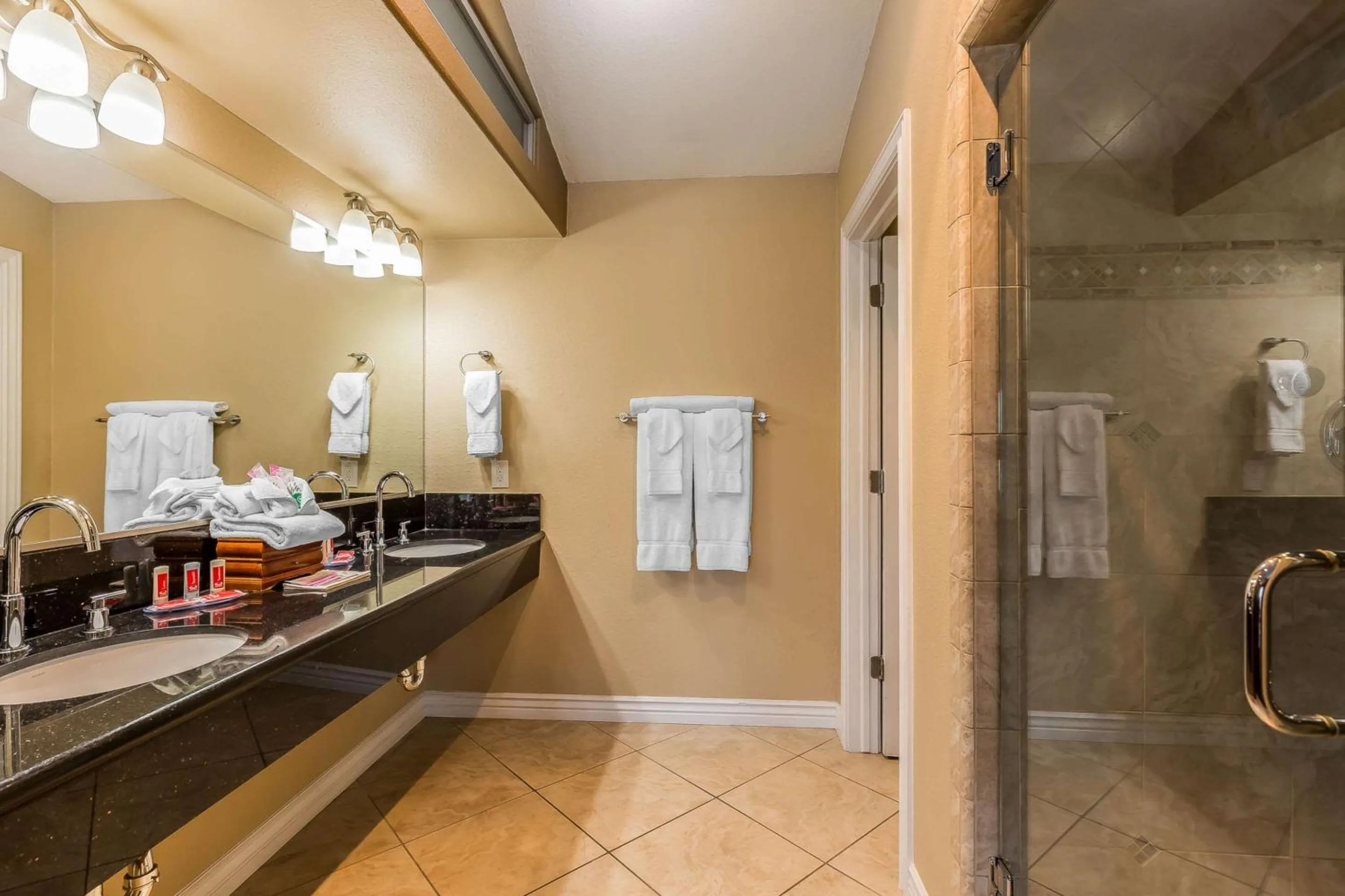 Bathroom in Econo Lodge Lake Elsinore Casino