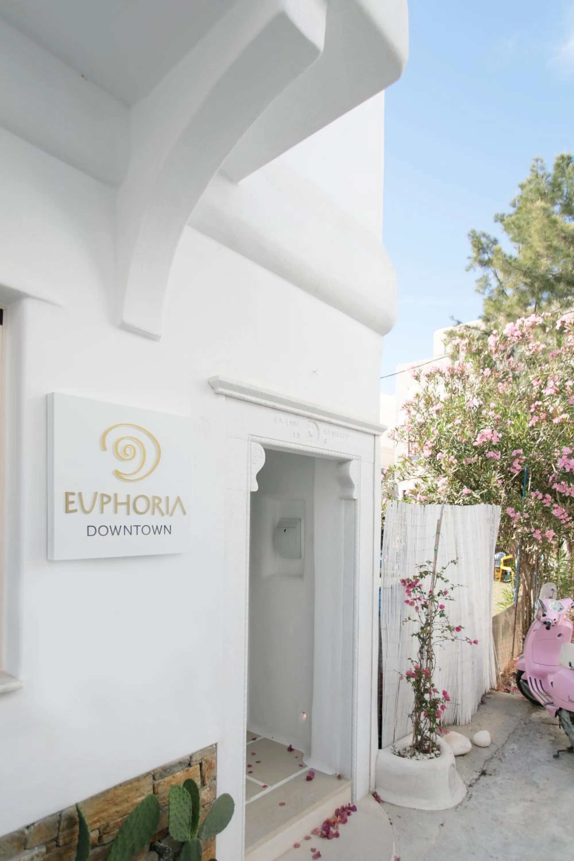 Property building in Euphoria Downtown