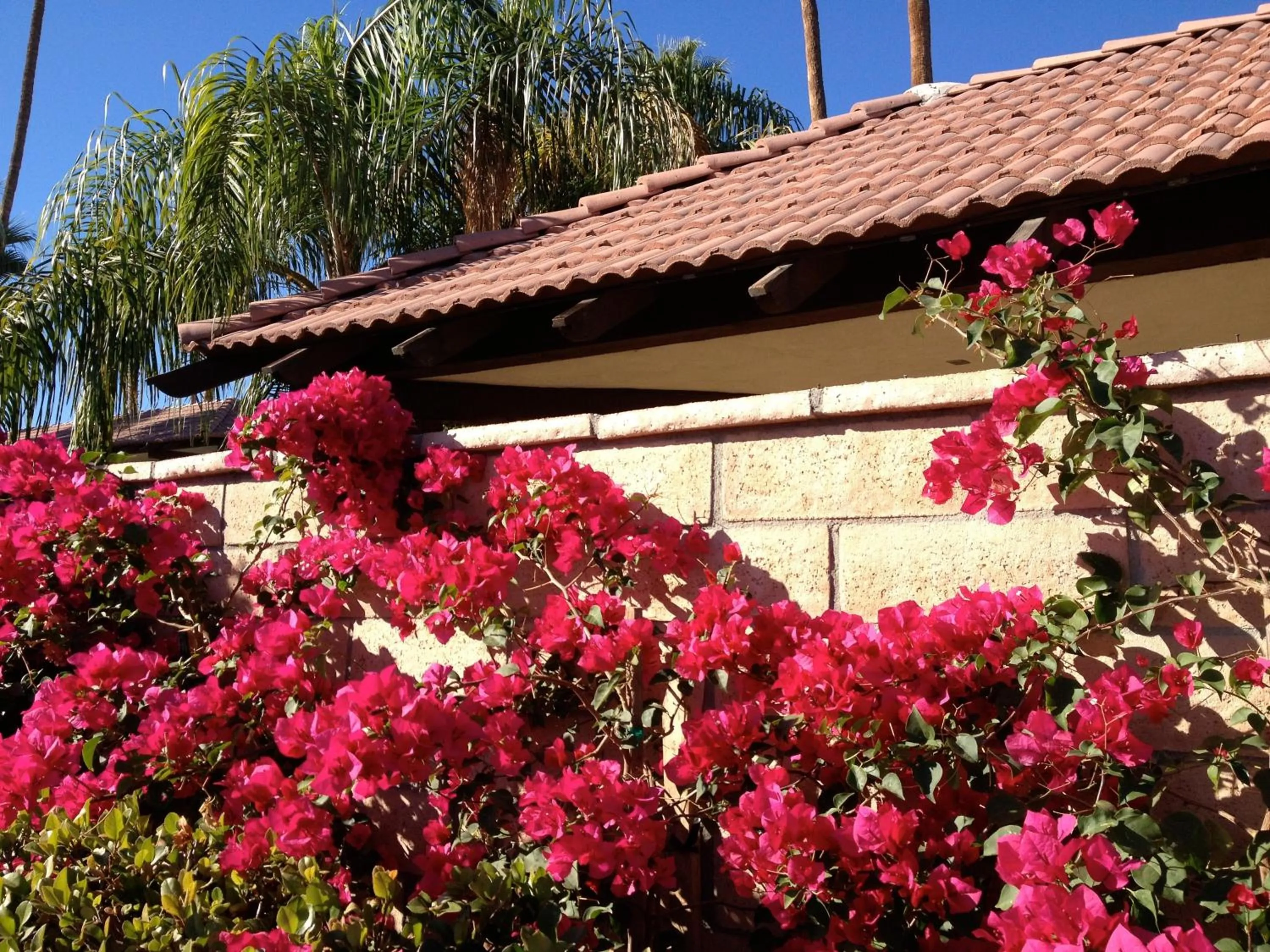 Decorative detail in La Maison Hotel - Adults Only