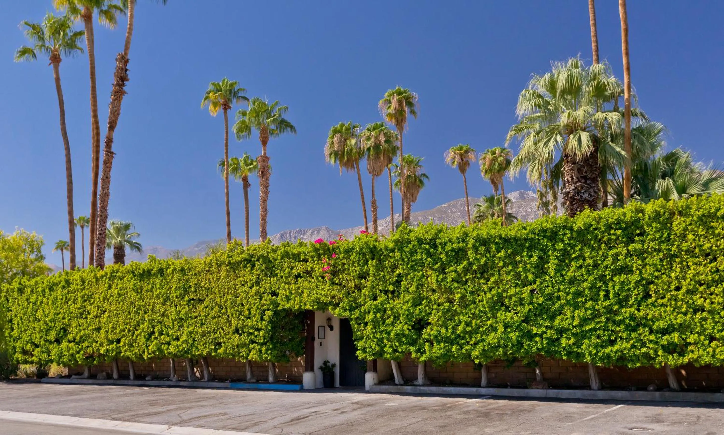 Natural landscape in La Maison Hotel - Adults Only