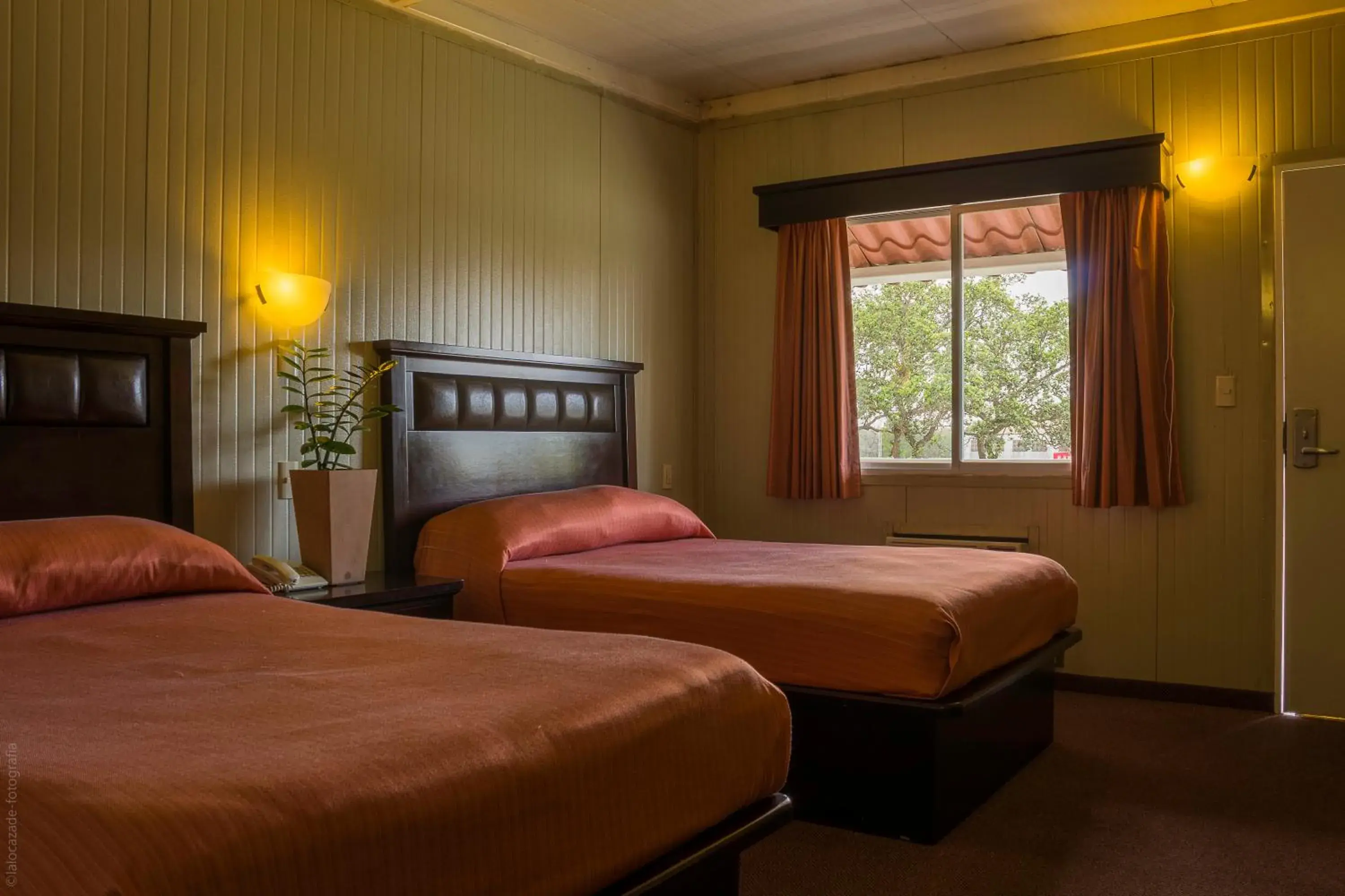 Twin Room with Garden View in BONITTO INN® Tampico Altamira Twin Room with Garden View in BONITTO INN® Tampico Altamira