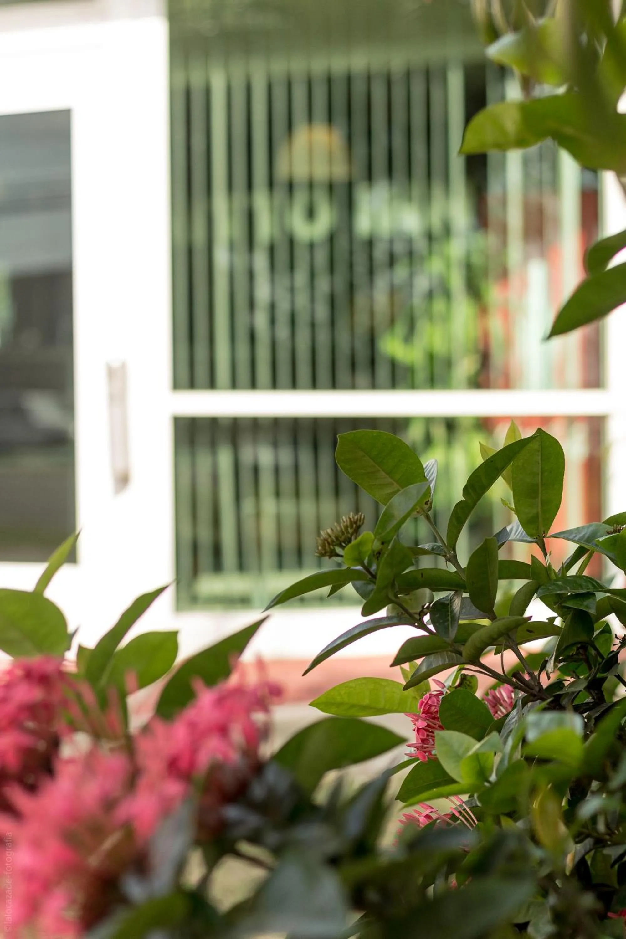 BONITTO INN® Tampico Altamira