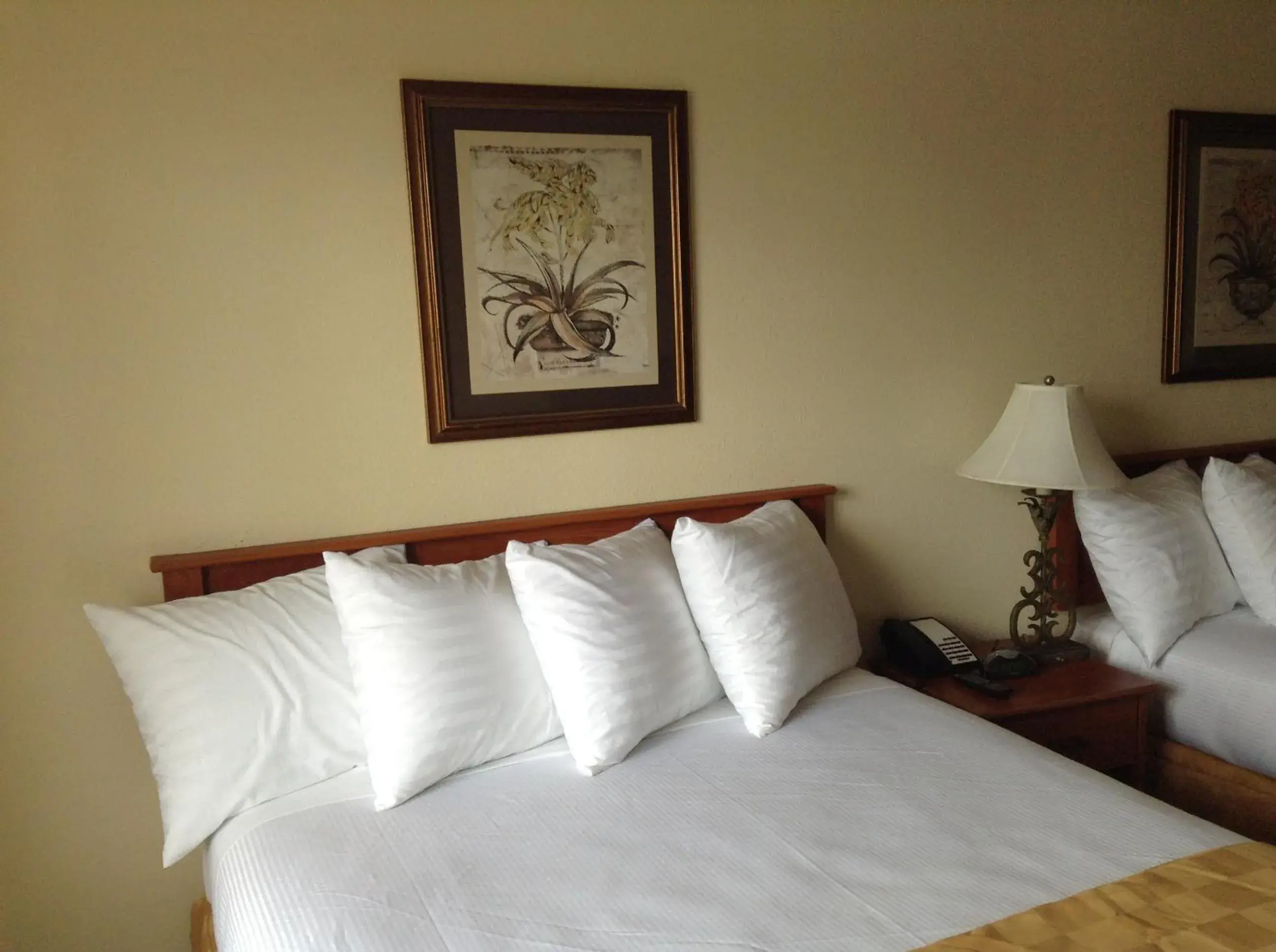 Bedroom, Bed in Best Inn & Suites Bedroom, Bed in Best Inn & Suites