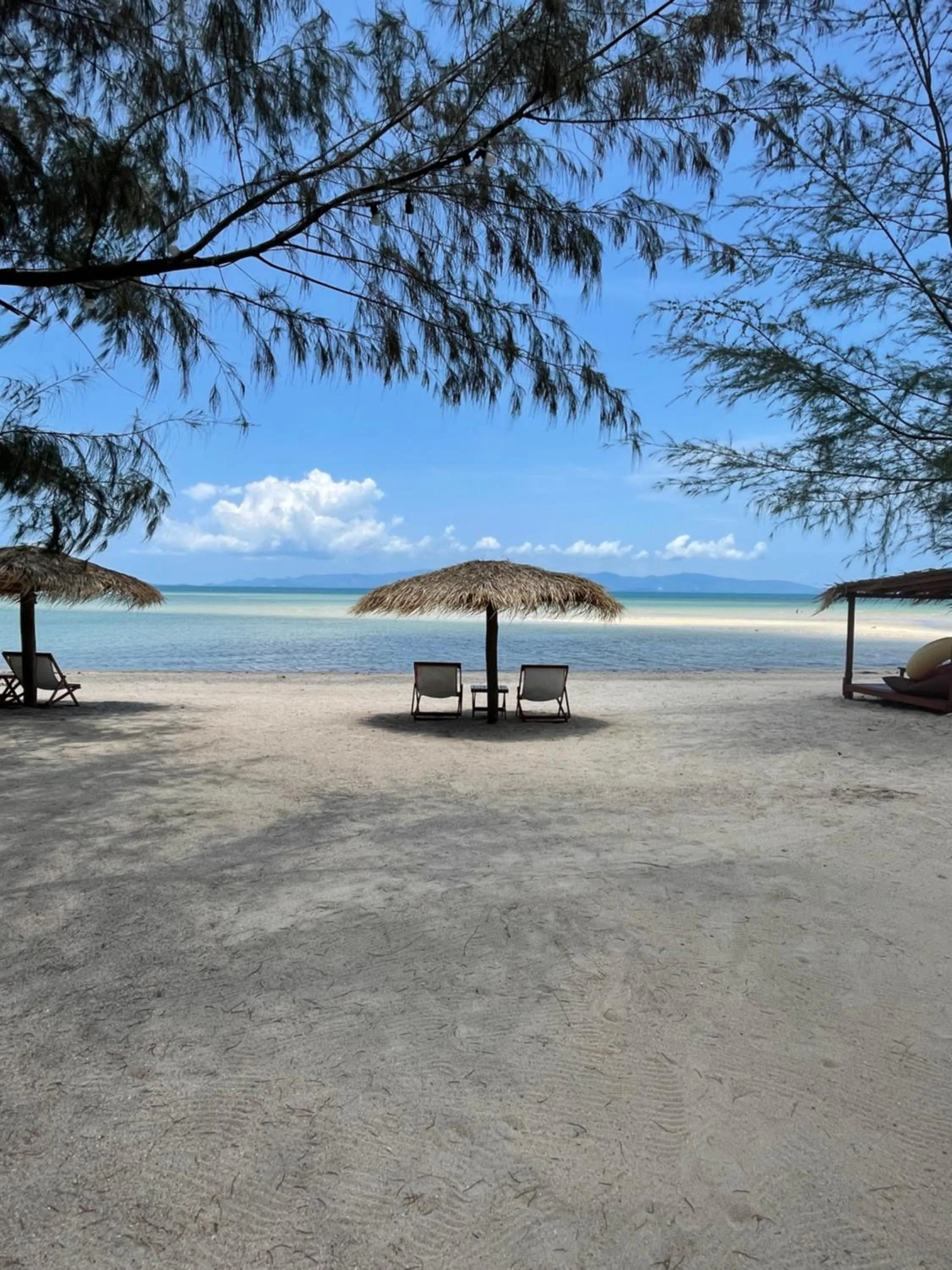 All At Sea Beach Resort