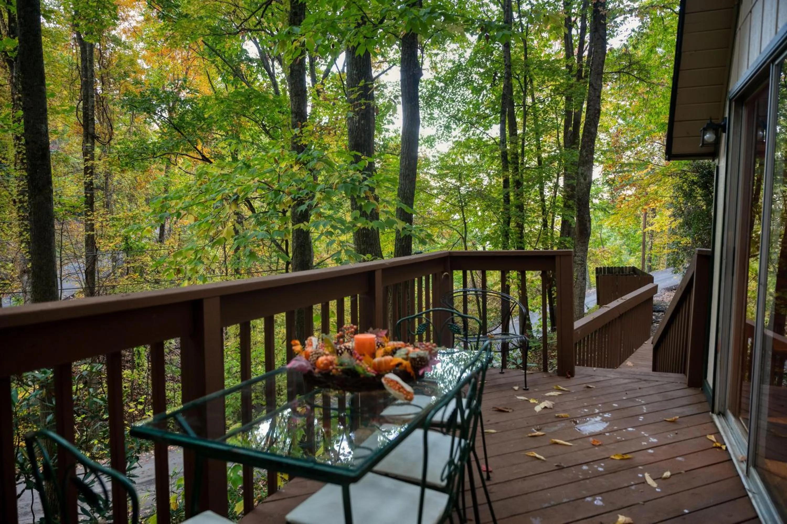 Smoky Bear Hideaway