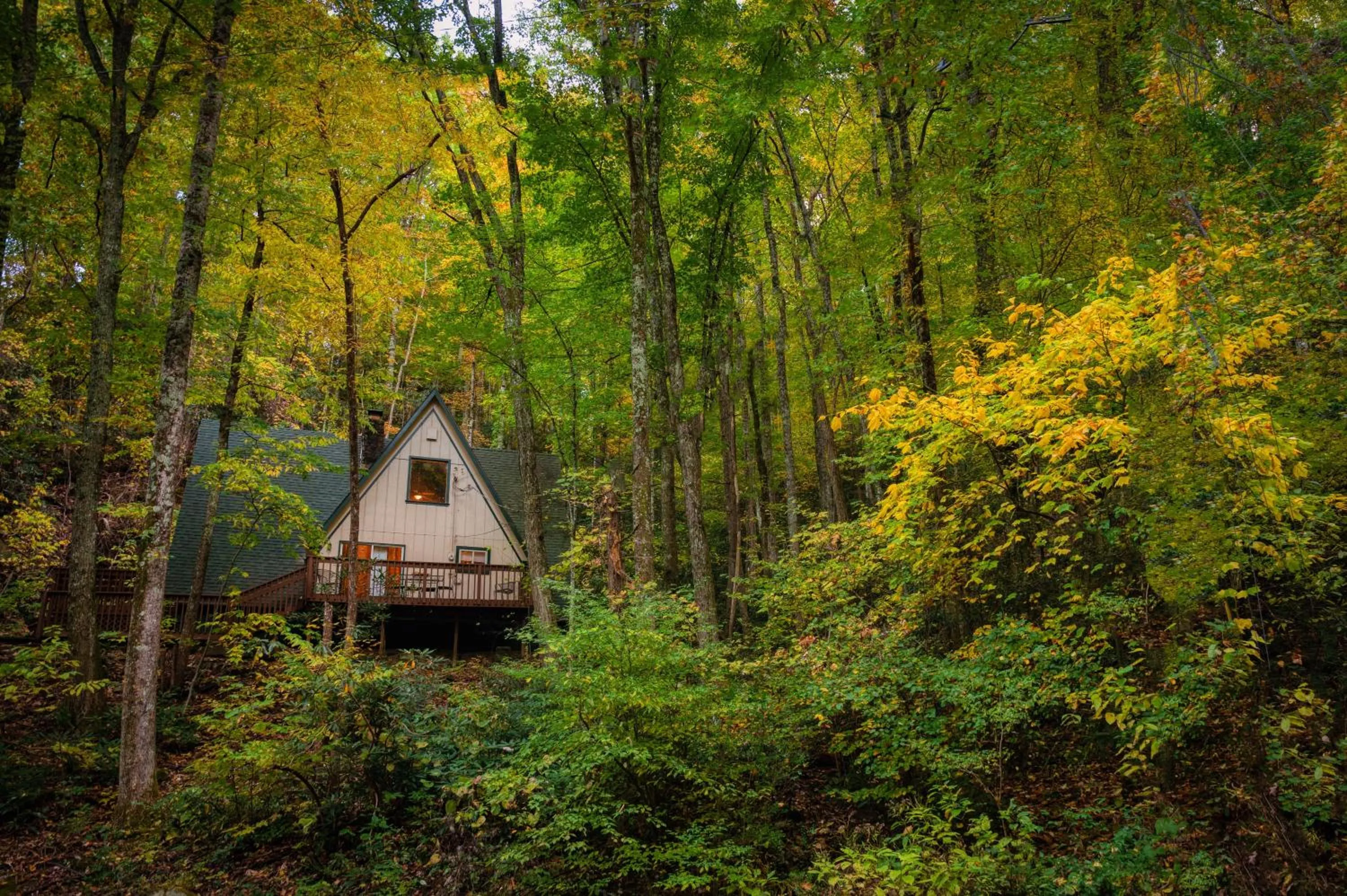 Smoky Bear Hideaway