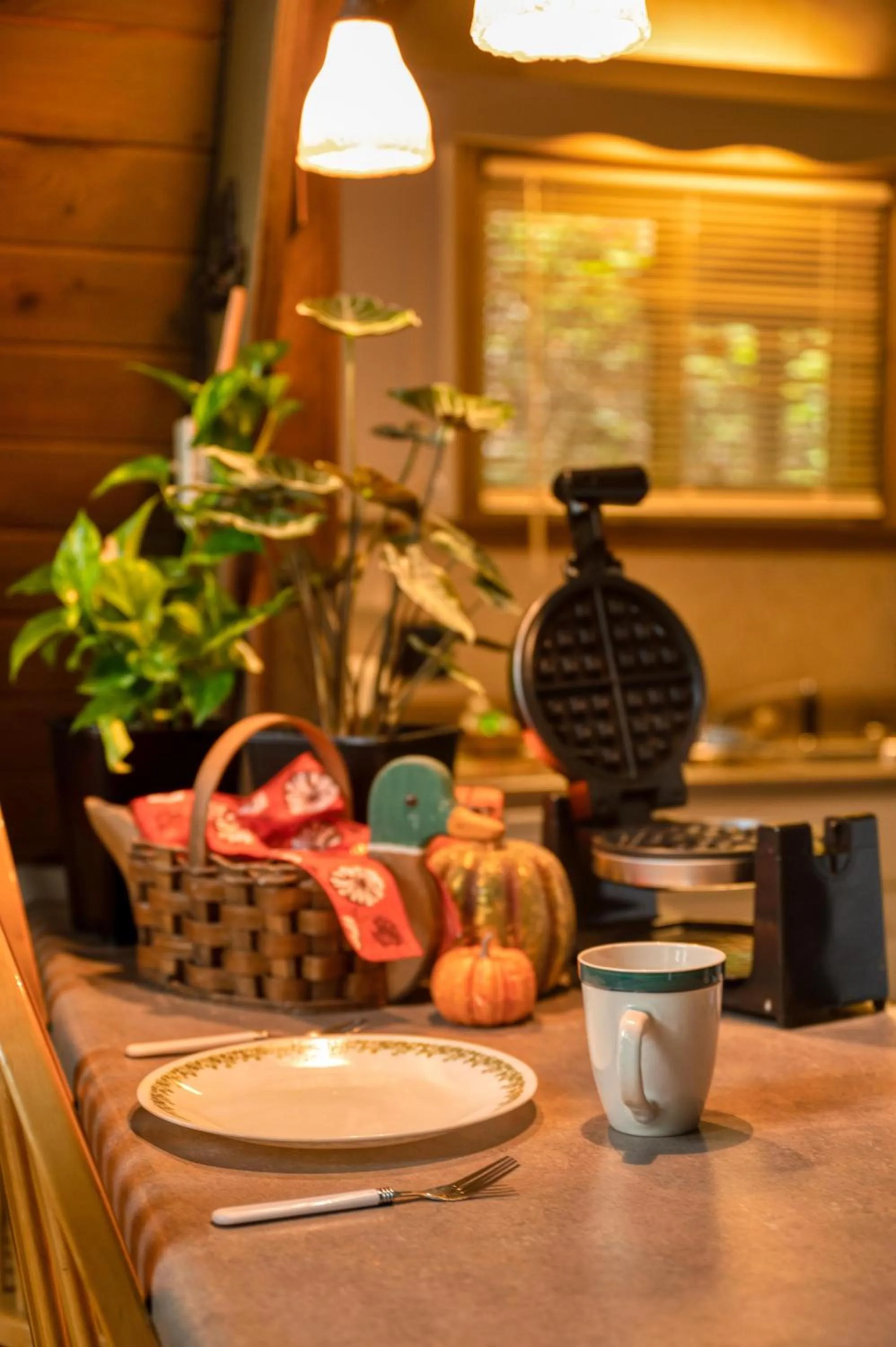 Smoky Bear Hideaway