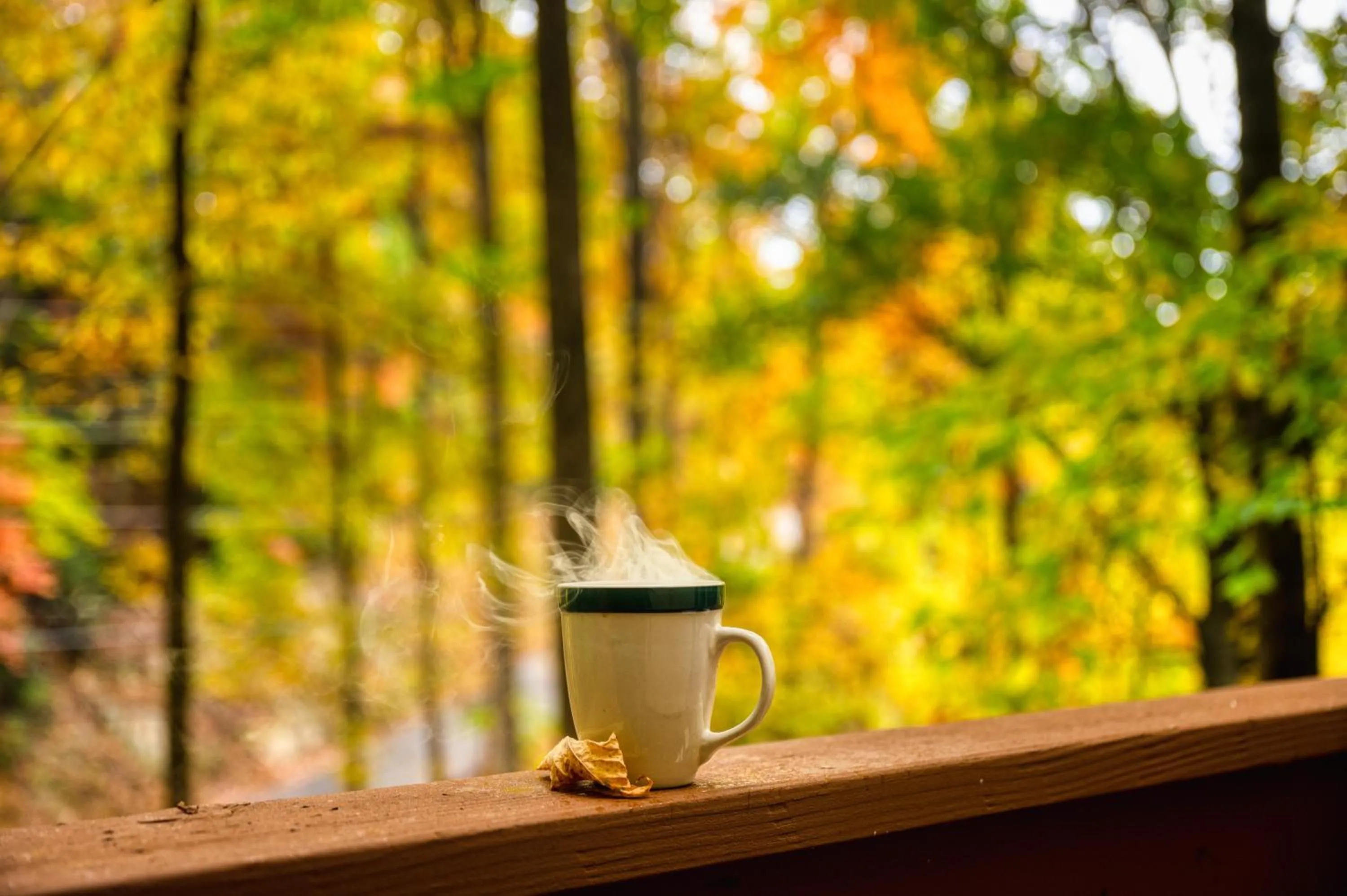 Smoky Bear Hideaway
