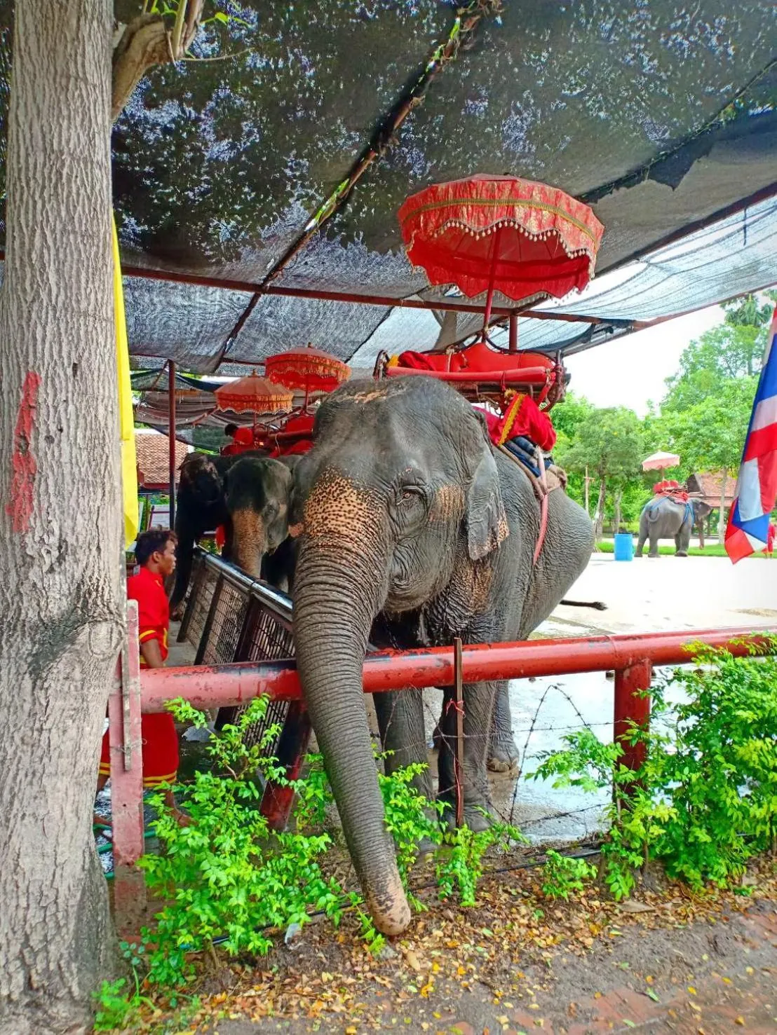 Natural landscape in Siri Guesthouse