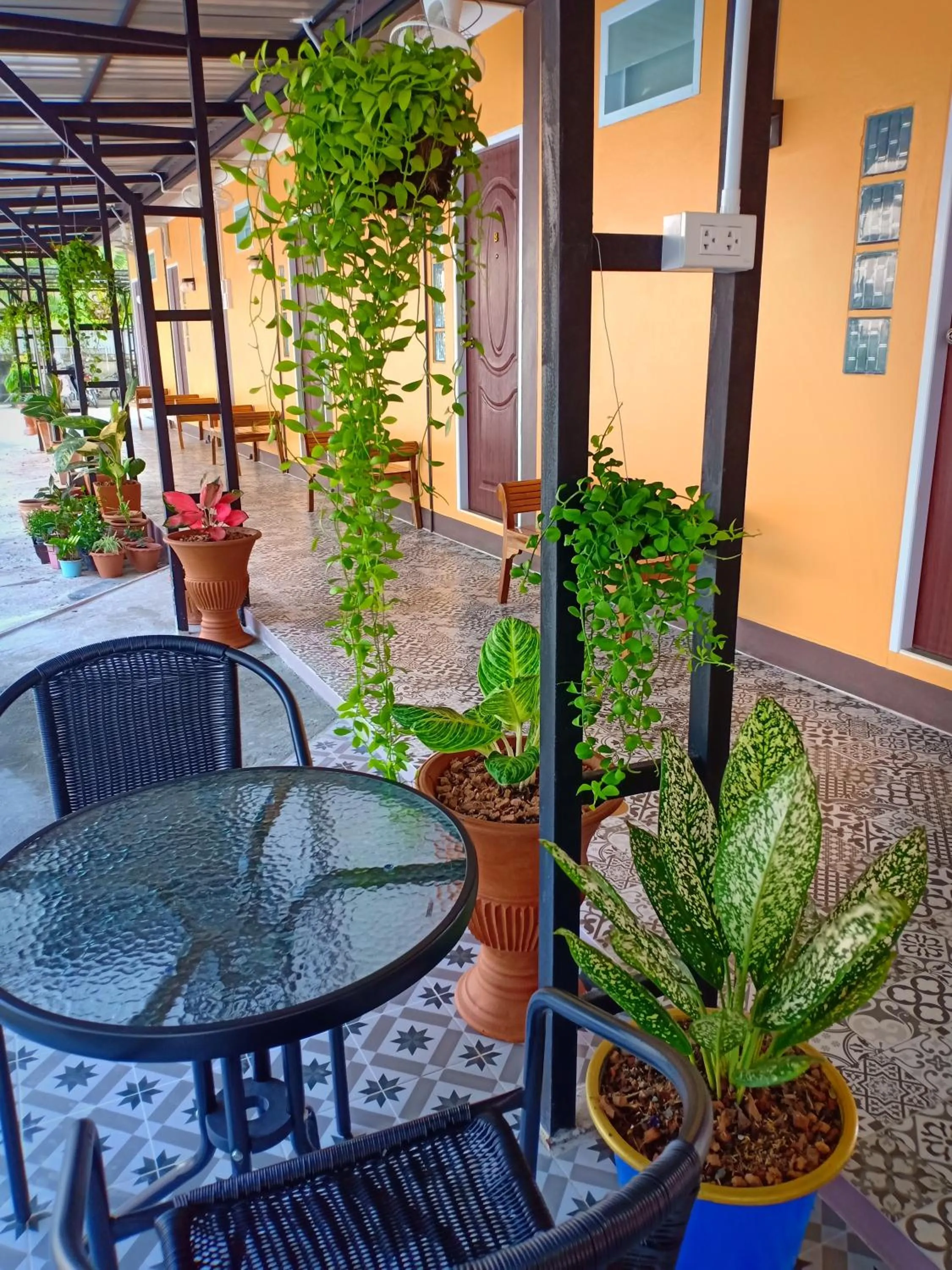 Garden view in Siri Guesthouse