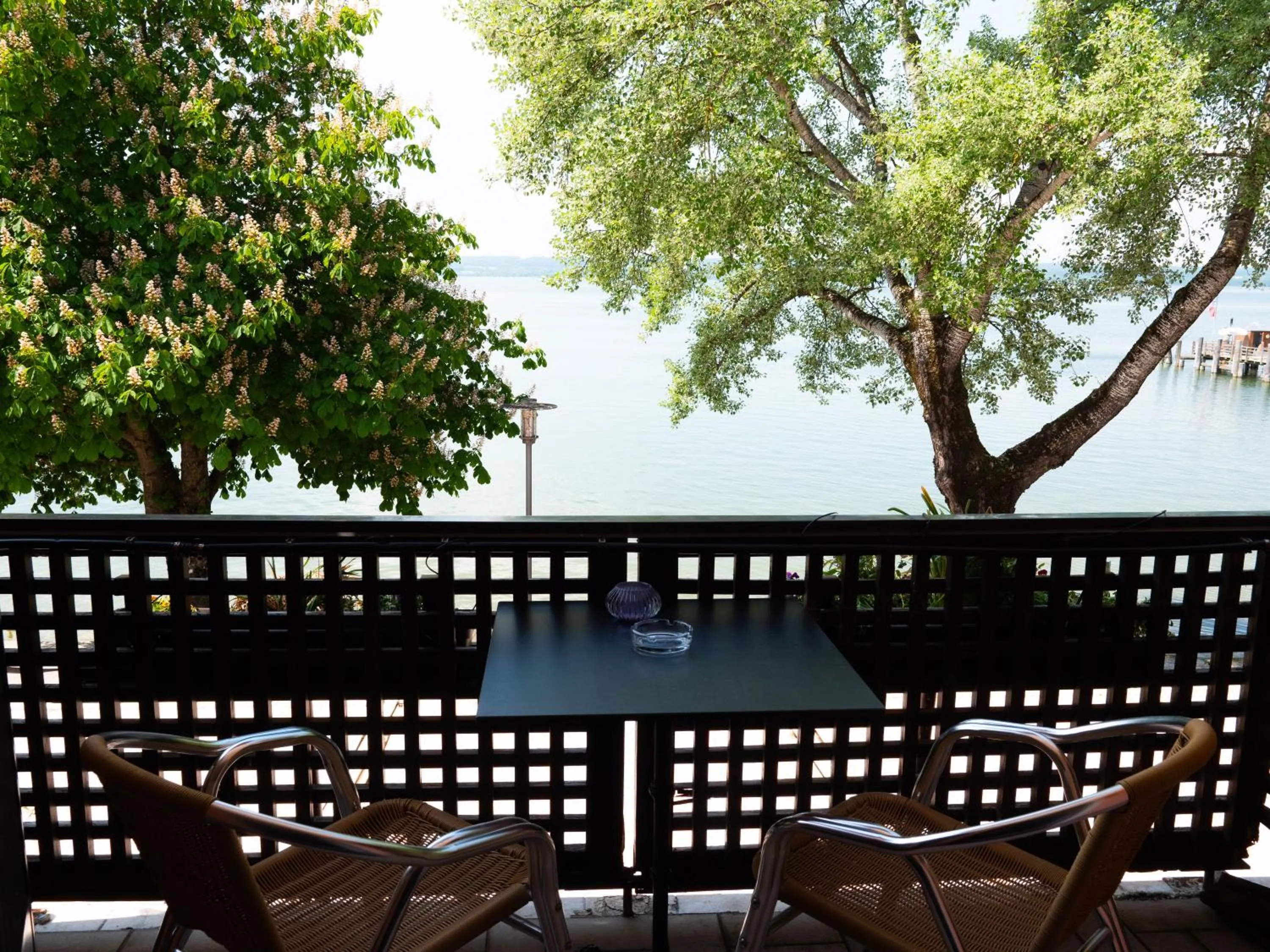 Balcony/Terrace in Seehotel Pegasus