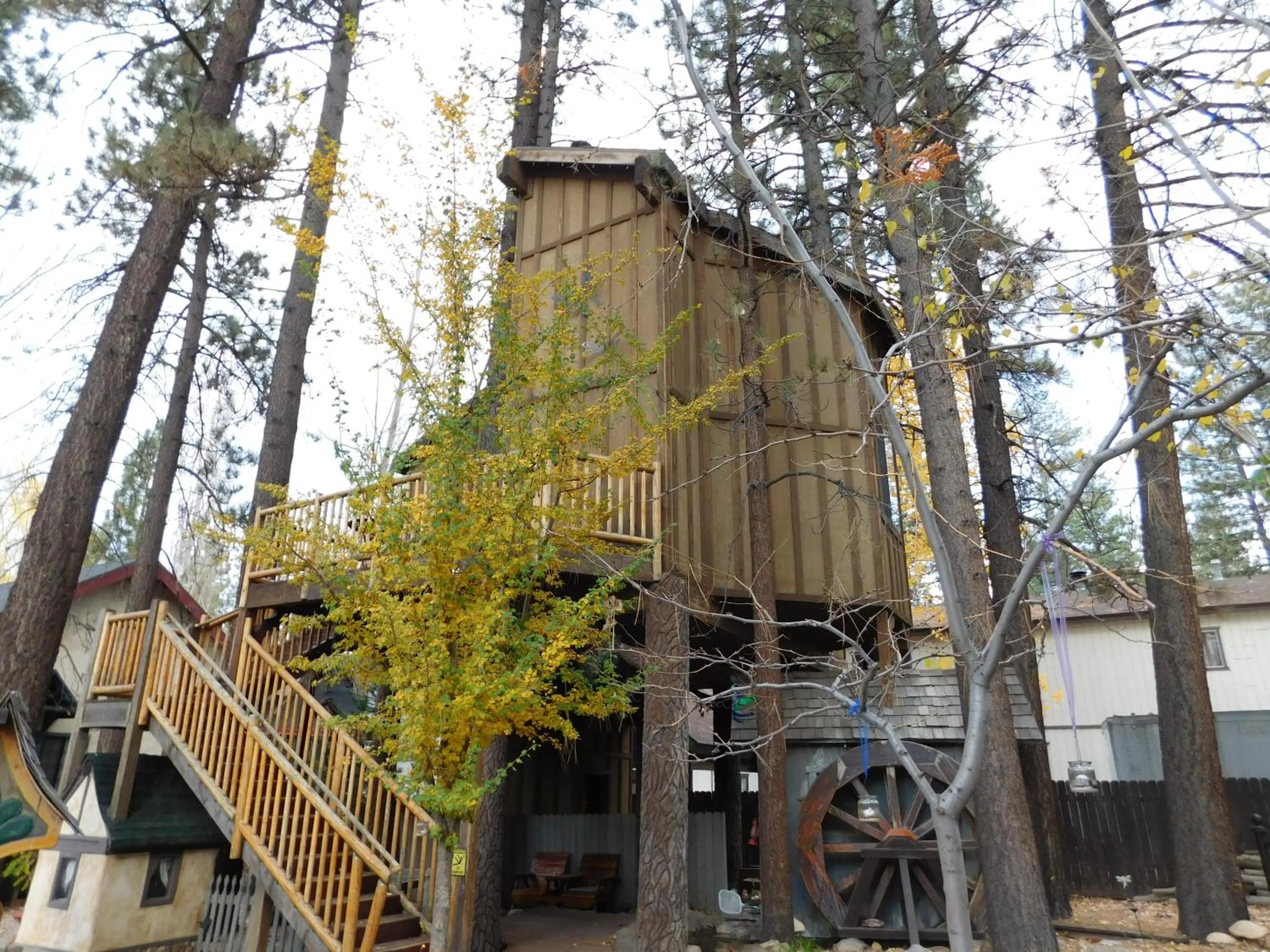 Other in Castle Wood Theme Cottages- COUPLES ONLY