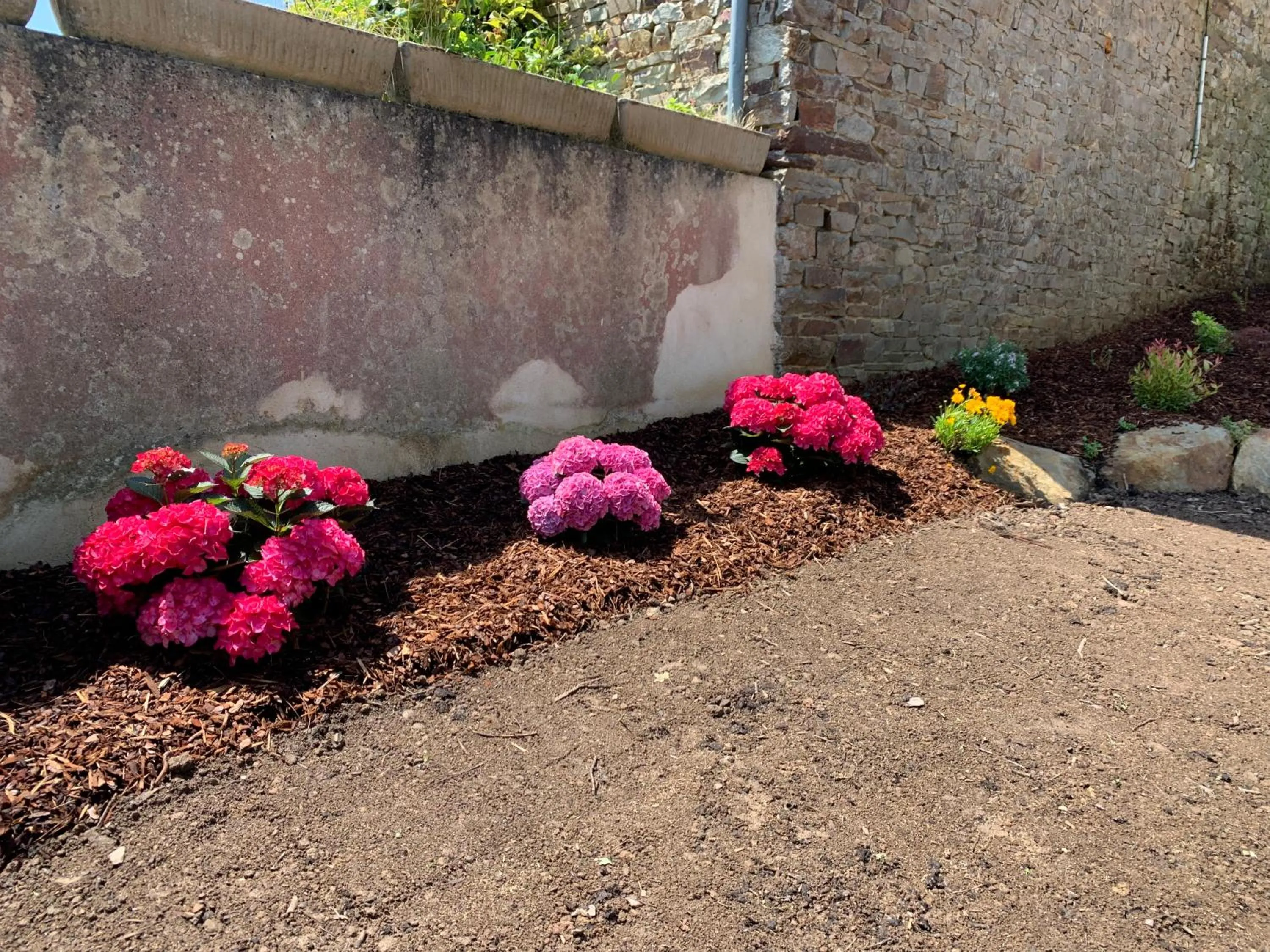 Garden in La maison des Légendes