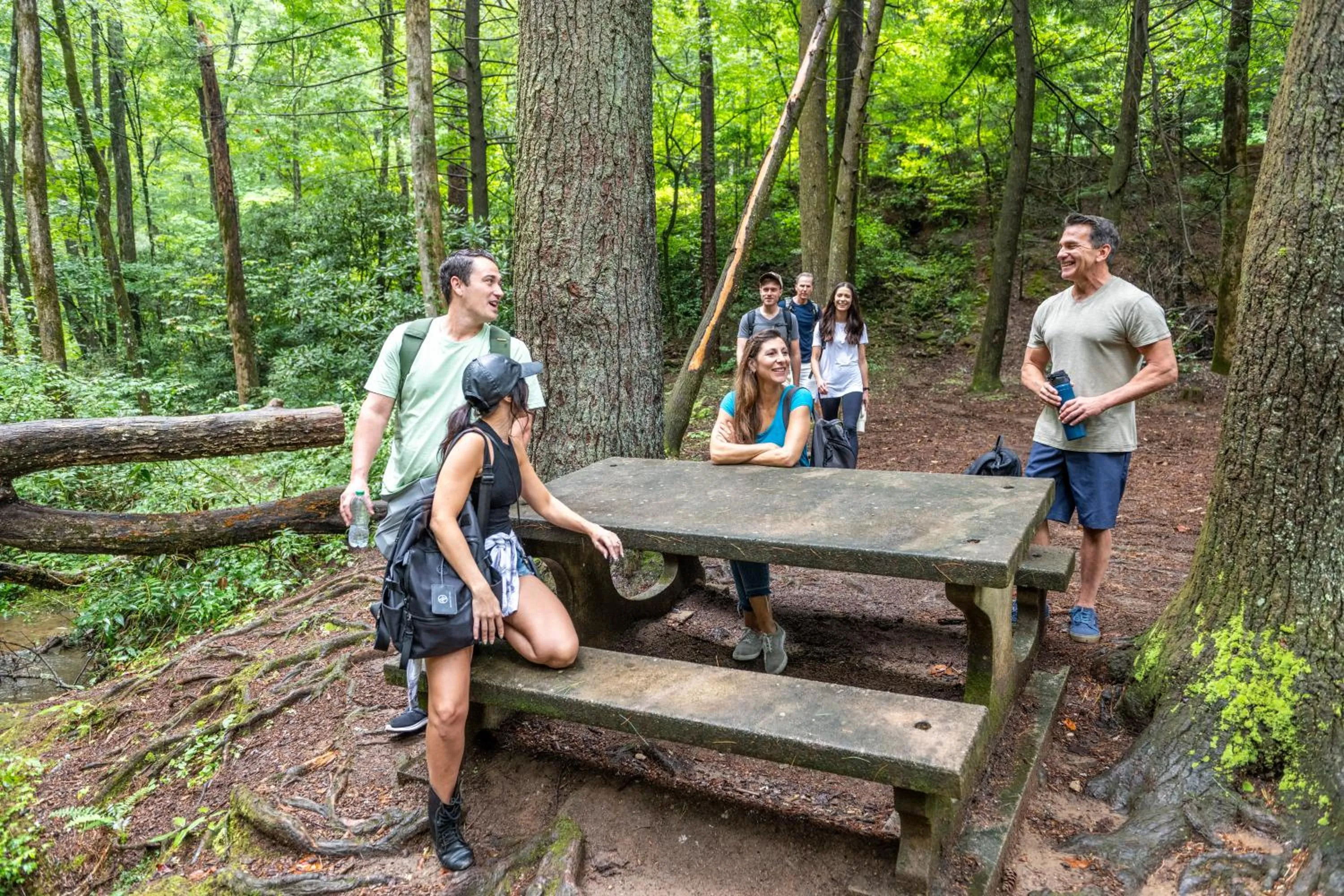 Hiking in Unicoi State Park & Lodge