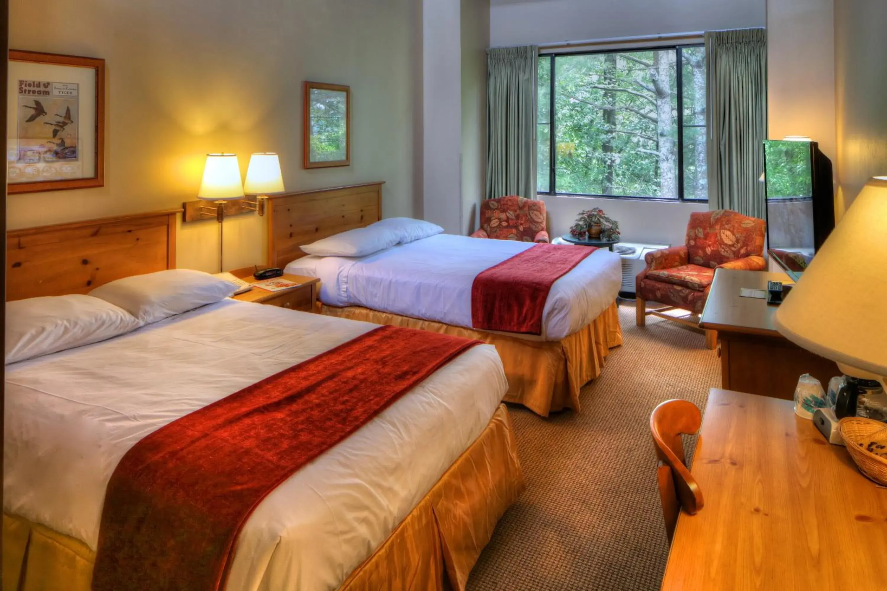 Photo of the whole room, Bed in Unicoi State Park & Lodge Photo of the whole room, Bed in Unicoi State Park & Lodge