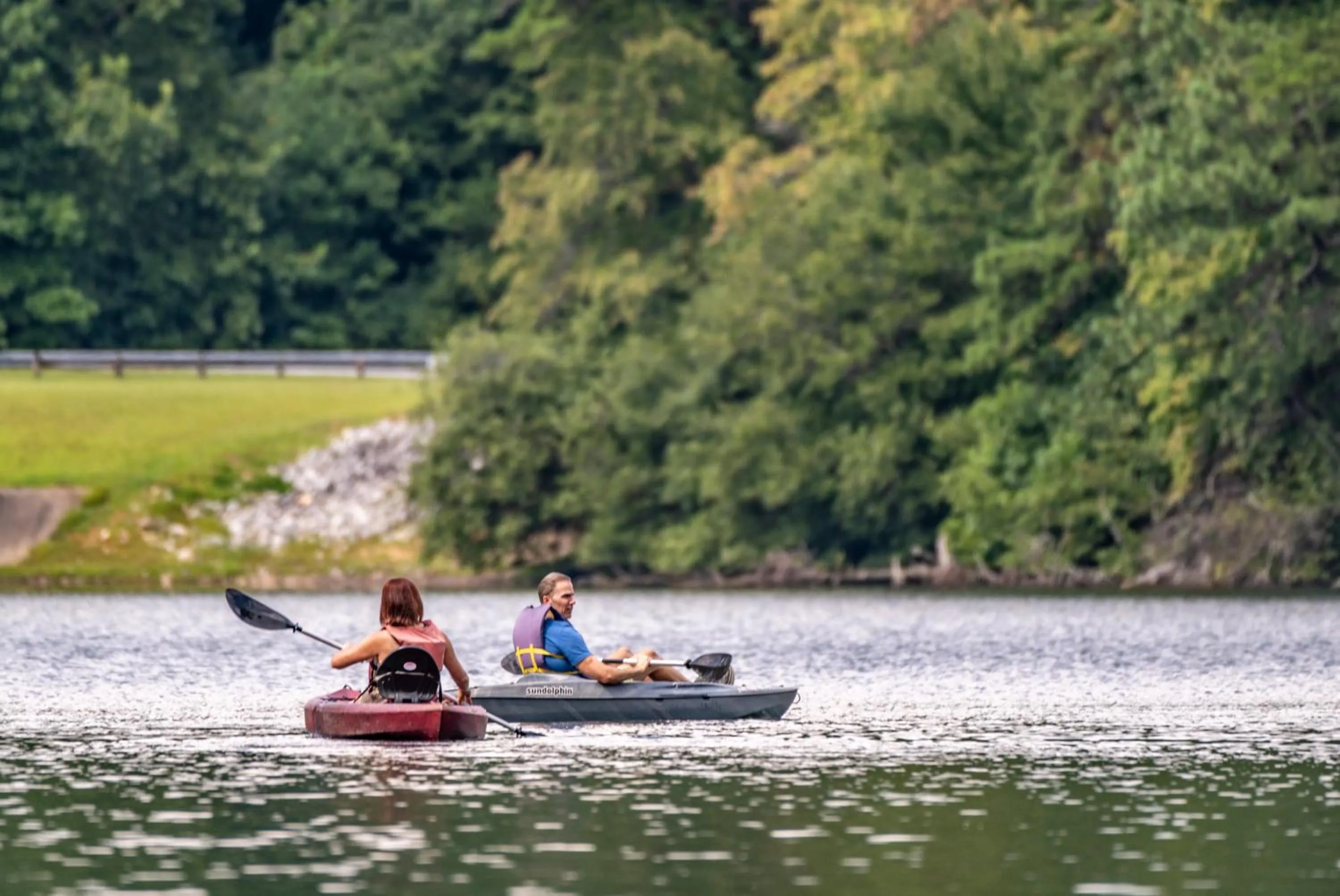 Natural landscape in Unicoi State Park & Lodge