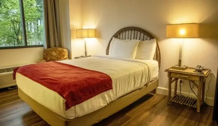 Photo of the whole room, Bed in Unicoi State Park & Lodge Photo of the whole room, Bed in Unicoi State Park & Lodge