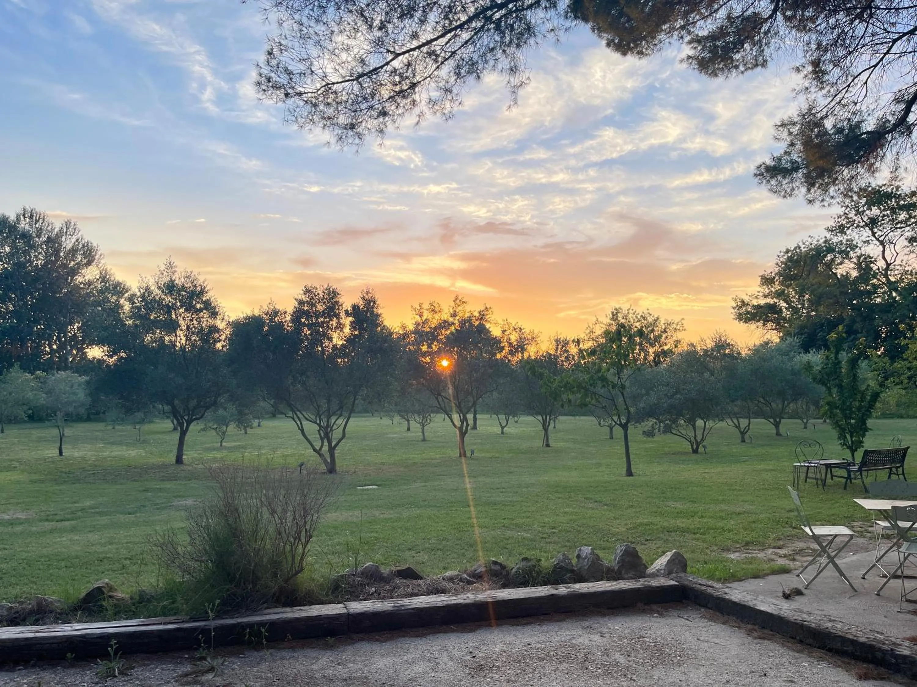 Sunset in Domaine Au Coeur des Alpilles
