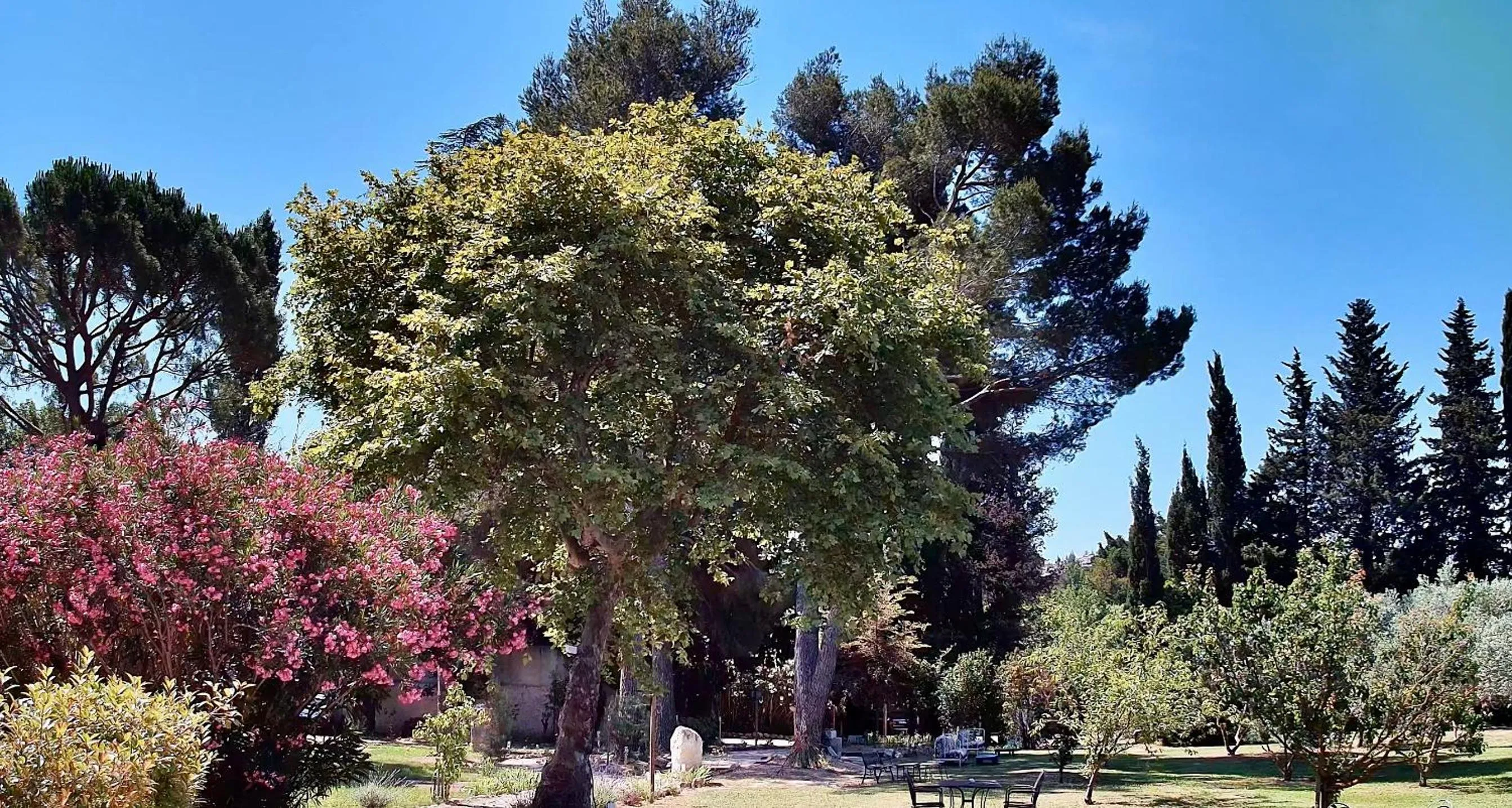 Garden in Domaine Au Coeur des Alpilles
