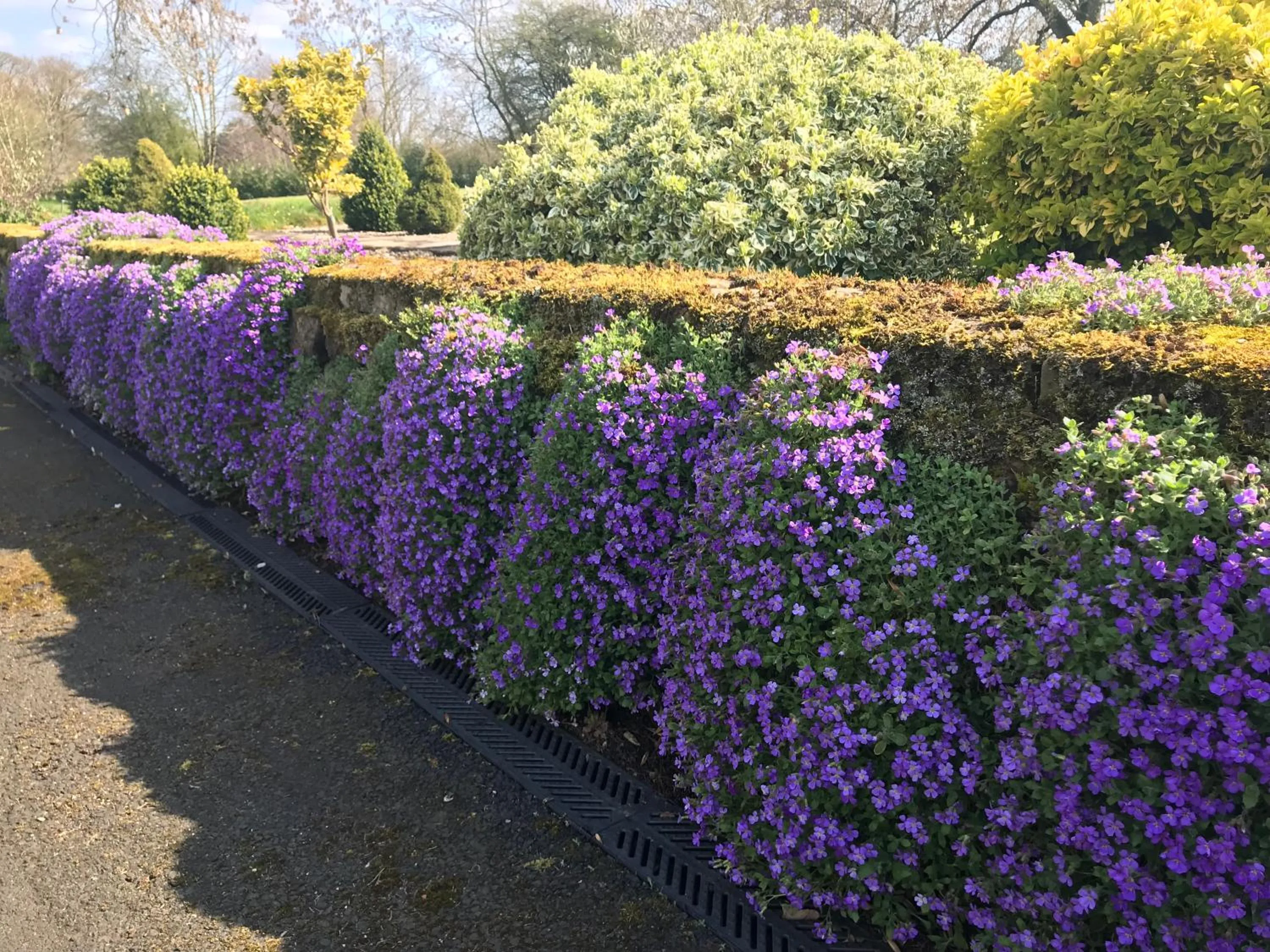 Property building in Dalton House Bed and Breakfast