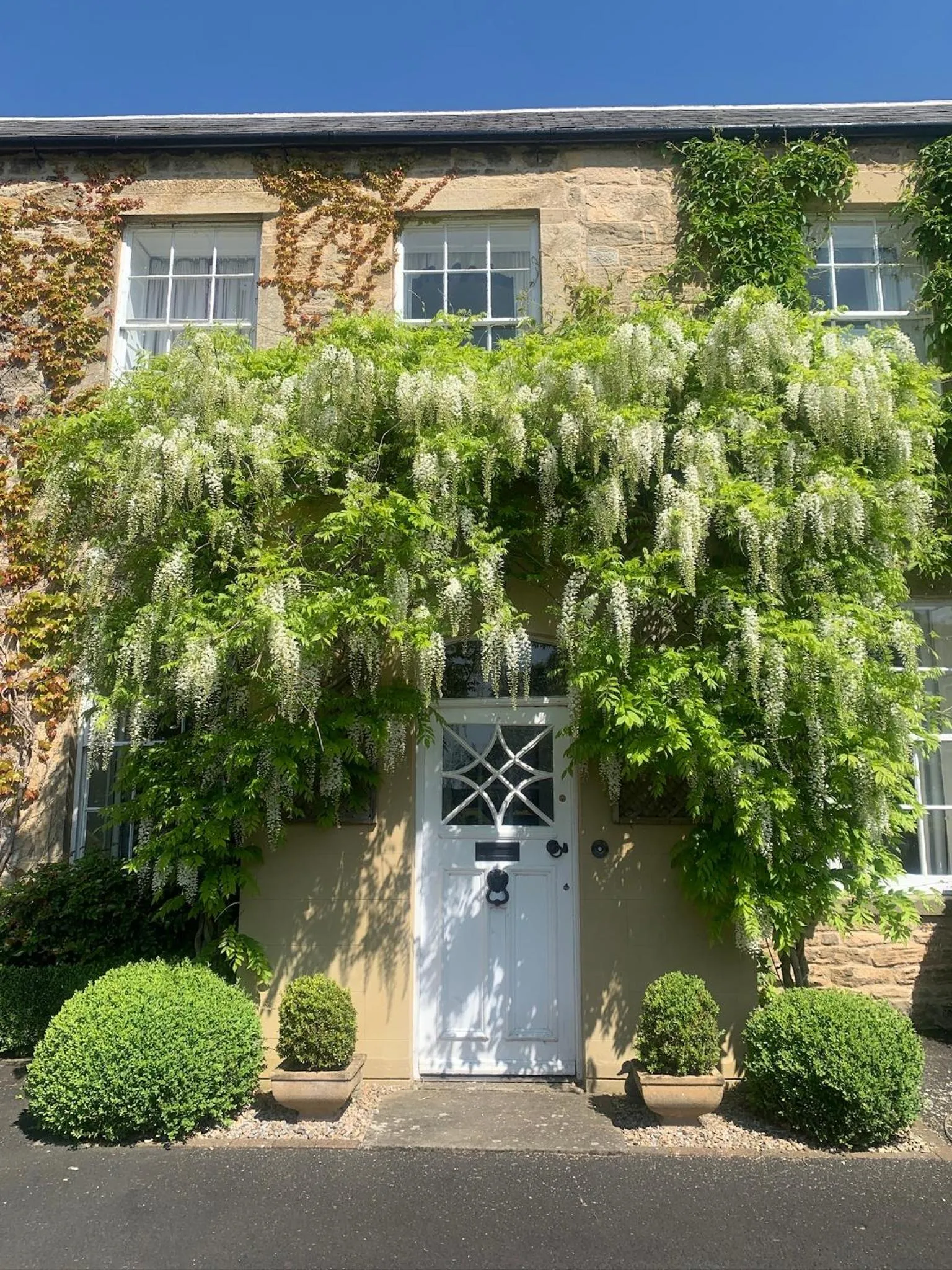 Dalton House Bed and Breakfast