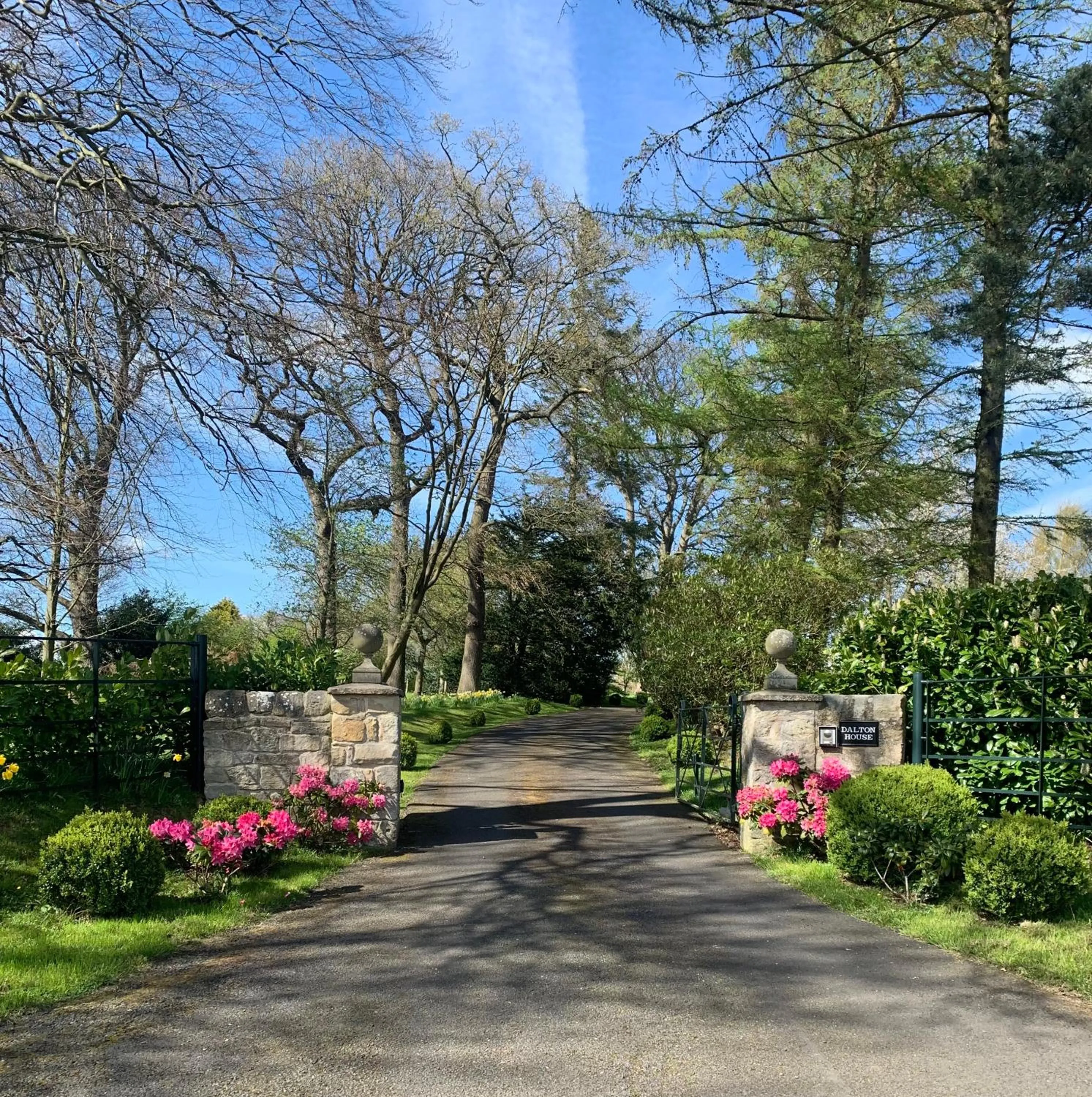 Dalton House Bed and Breakfast