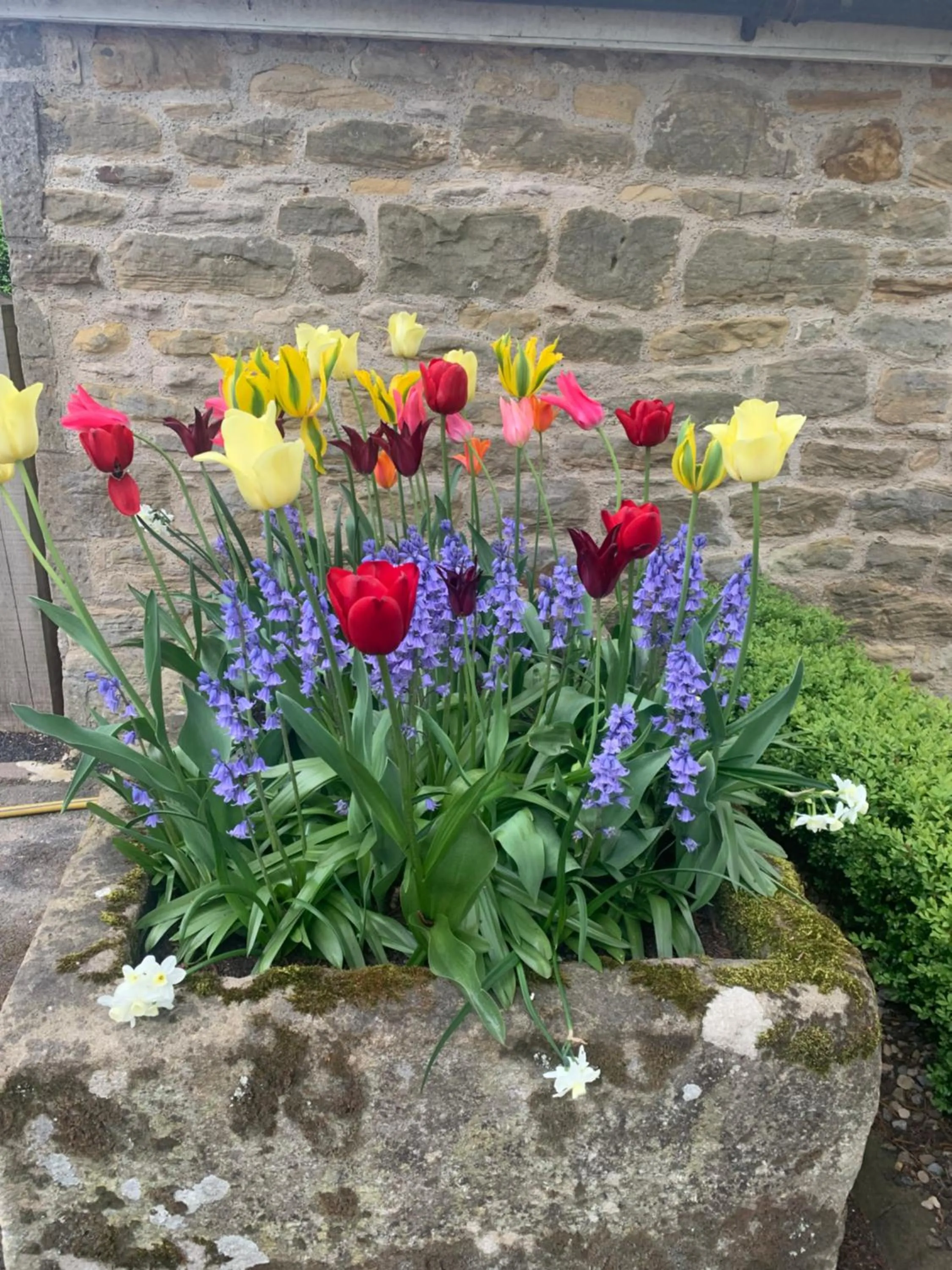 Dalton House Bed and Breakfast