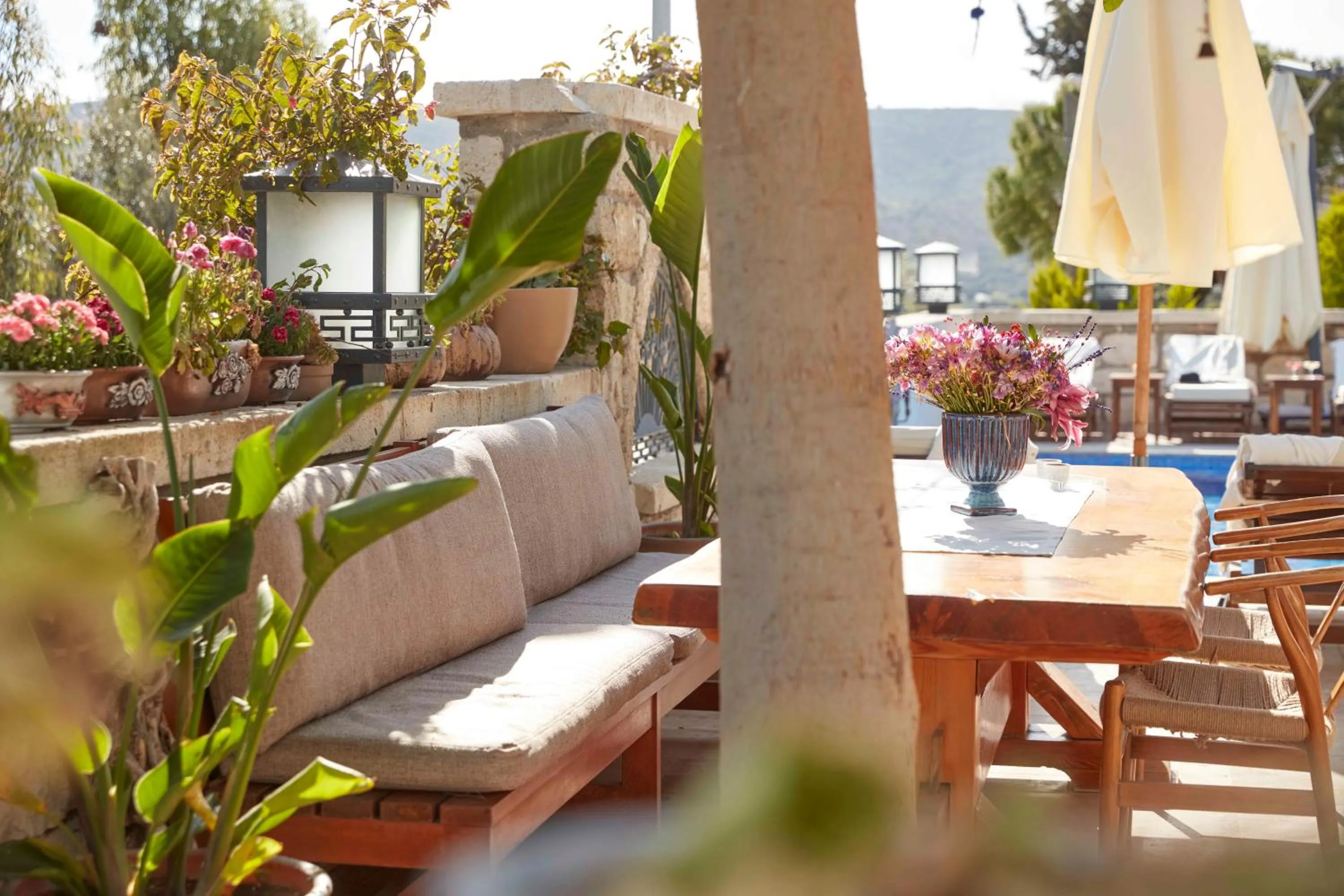 Spring in AlaBora Hotel