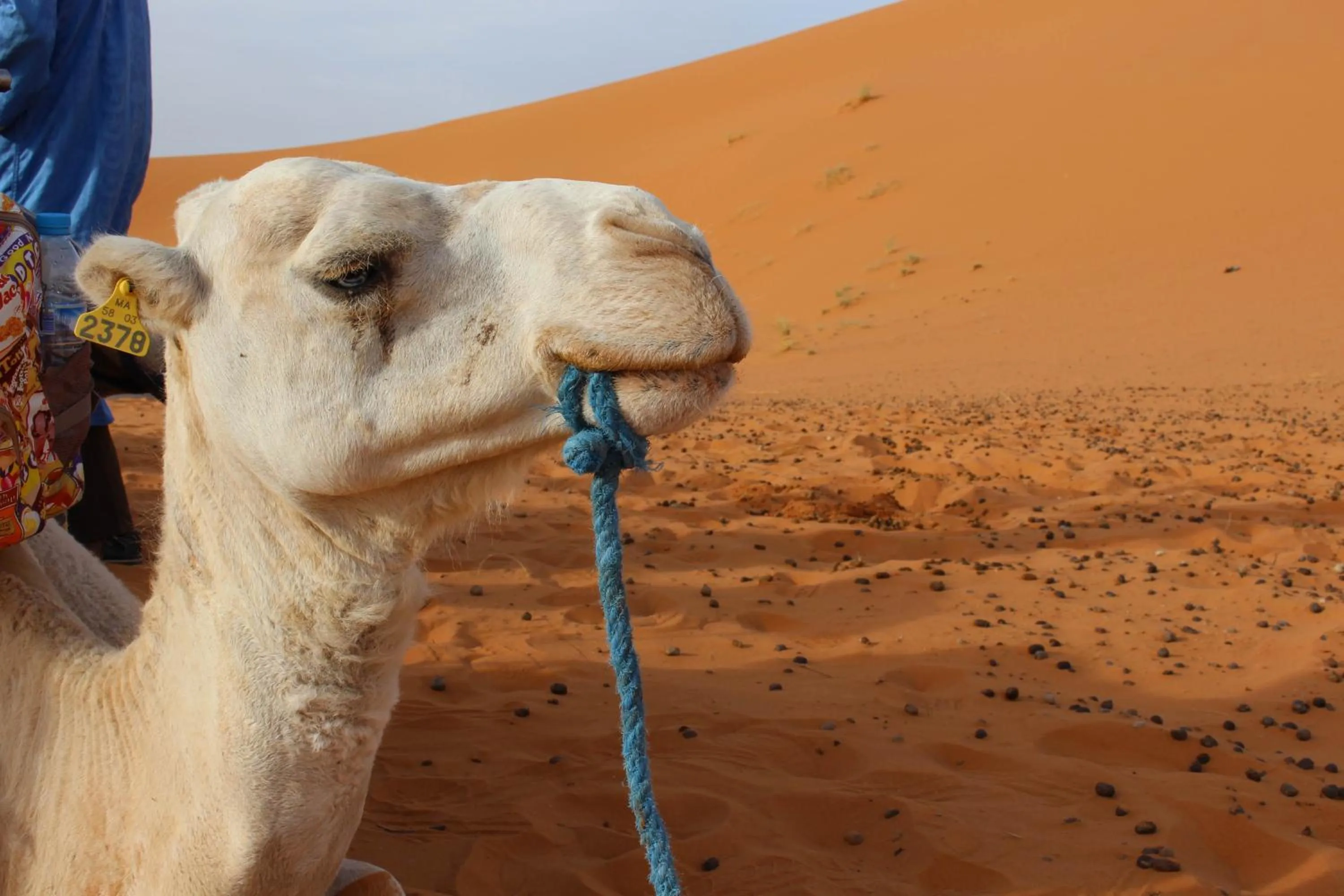 Bathroom in Riad Hotel Les Flamants
