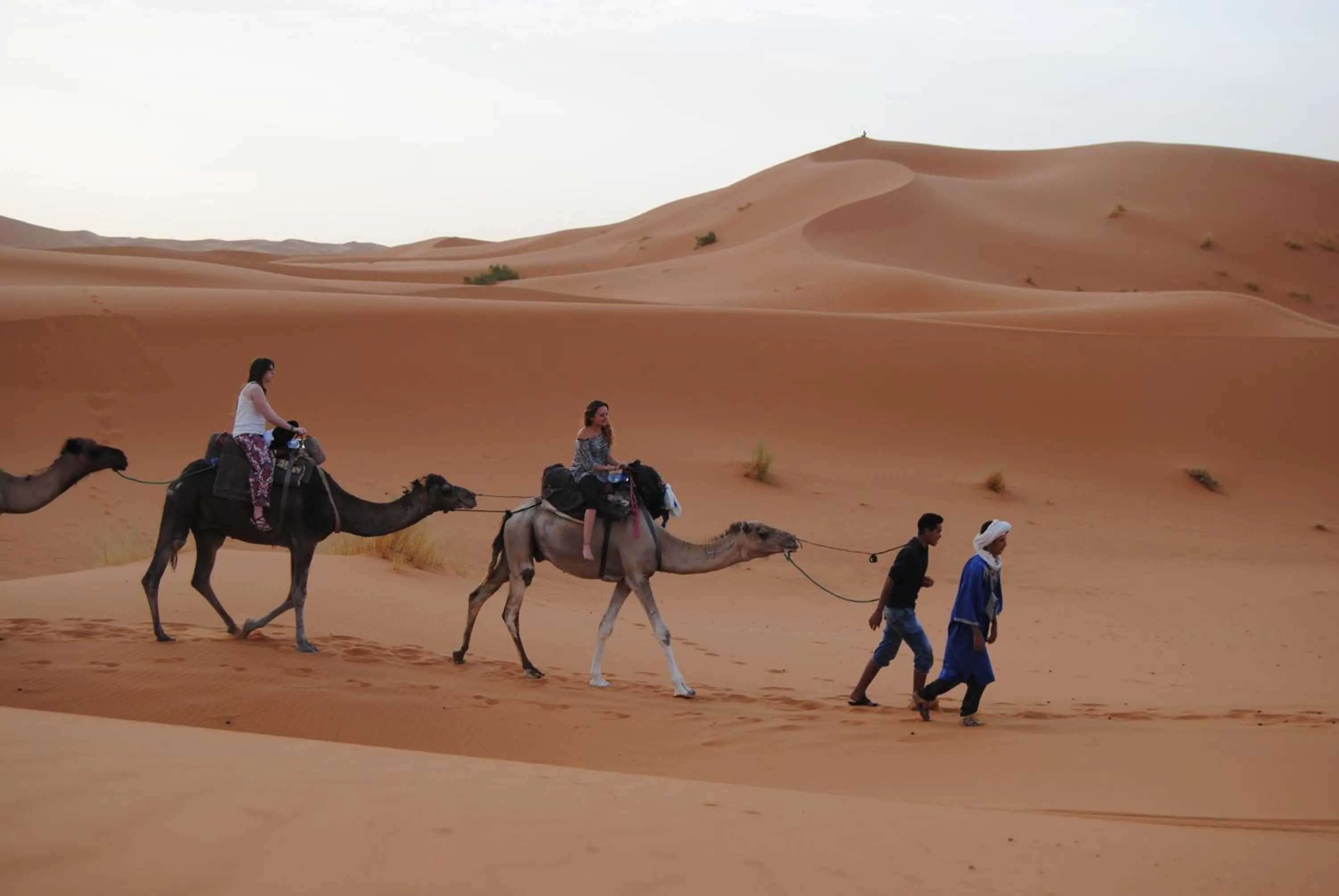 Other in Riad Hotel Les Flamants