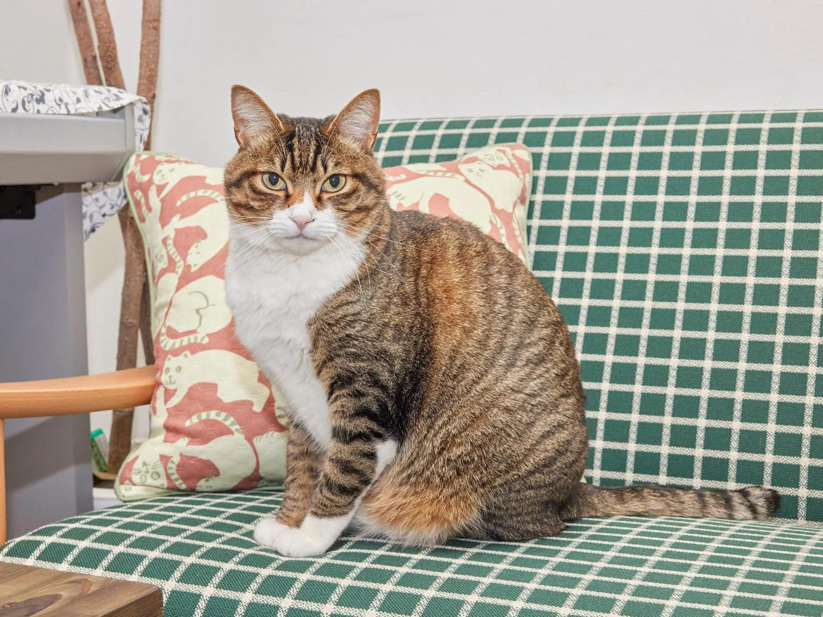 Communal lounge/ TV room in Itosima Guesthouse TOMO