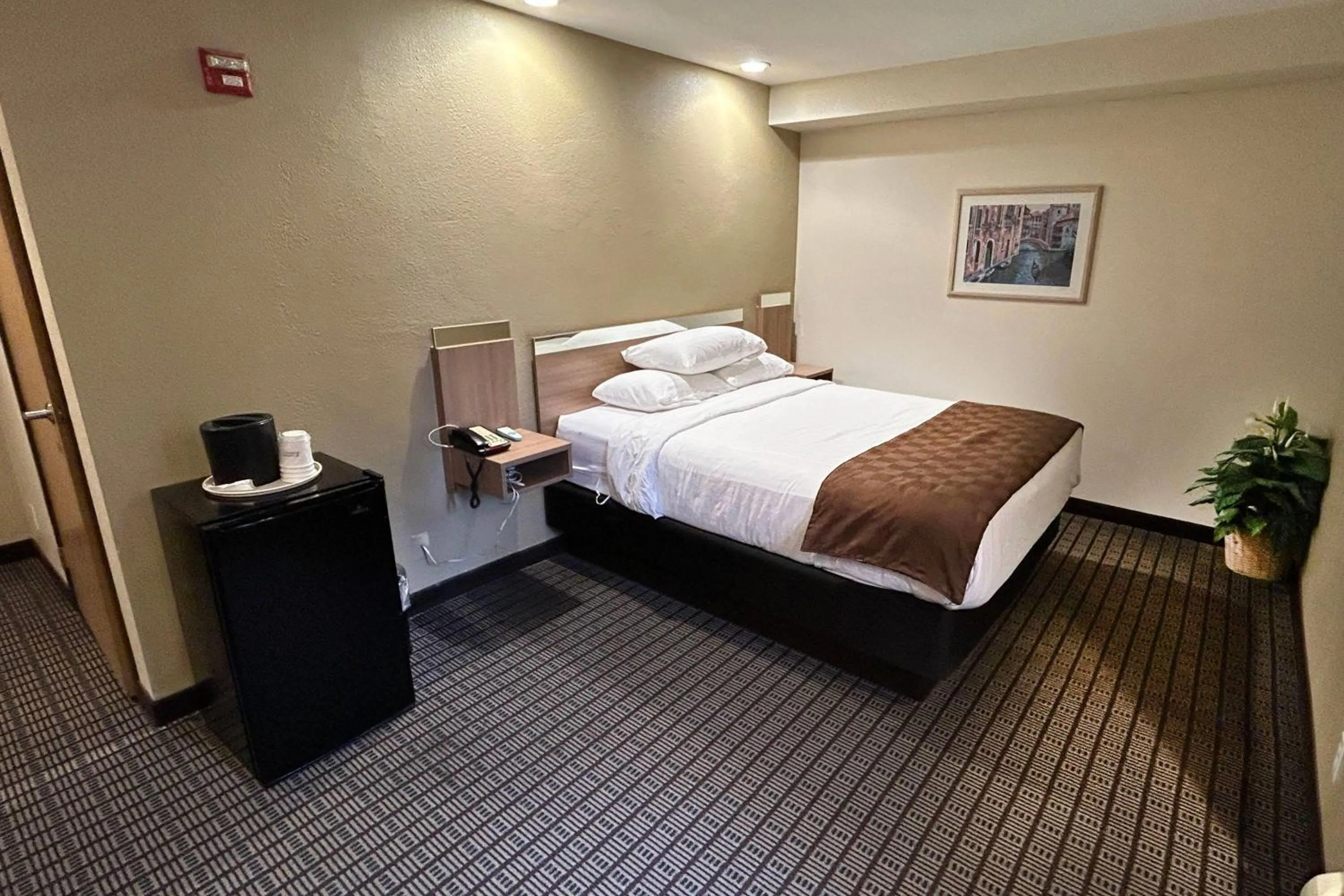 Photo of the whole room, Bed in Travelodge by Wyndham Arlington/Dallas Area