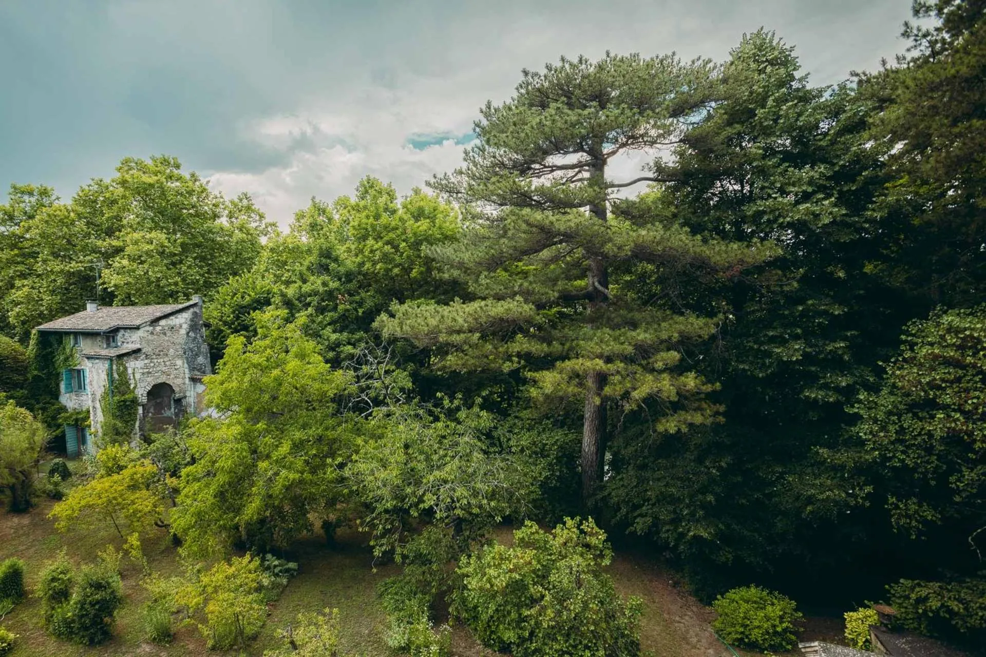 Garden in Les Suites de l'Ile Barbe