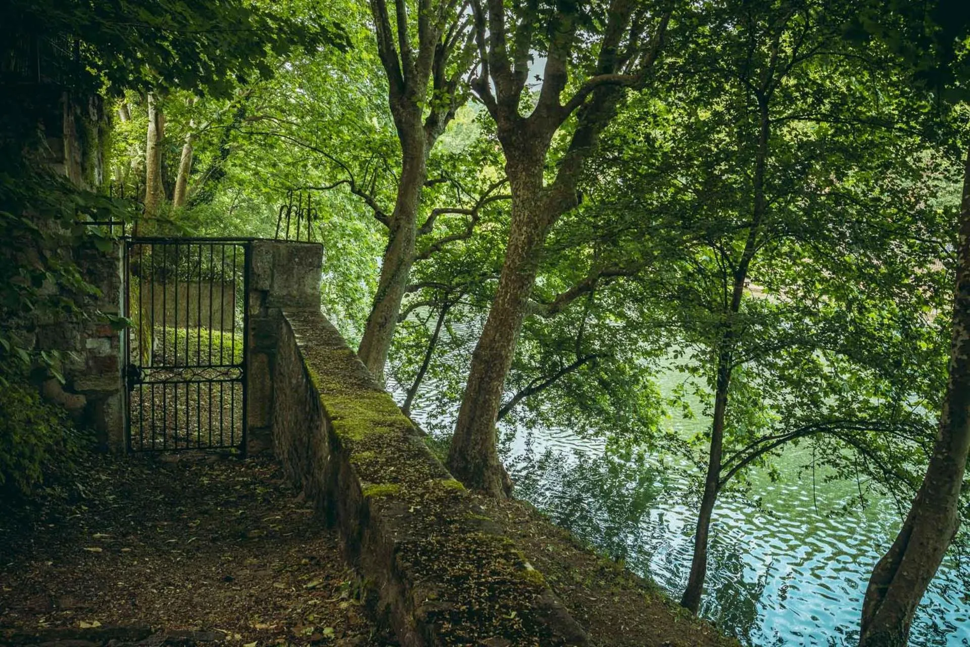 Garden in Les Suites de l'Ile Barbe