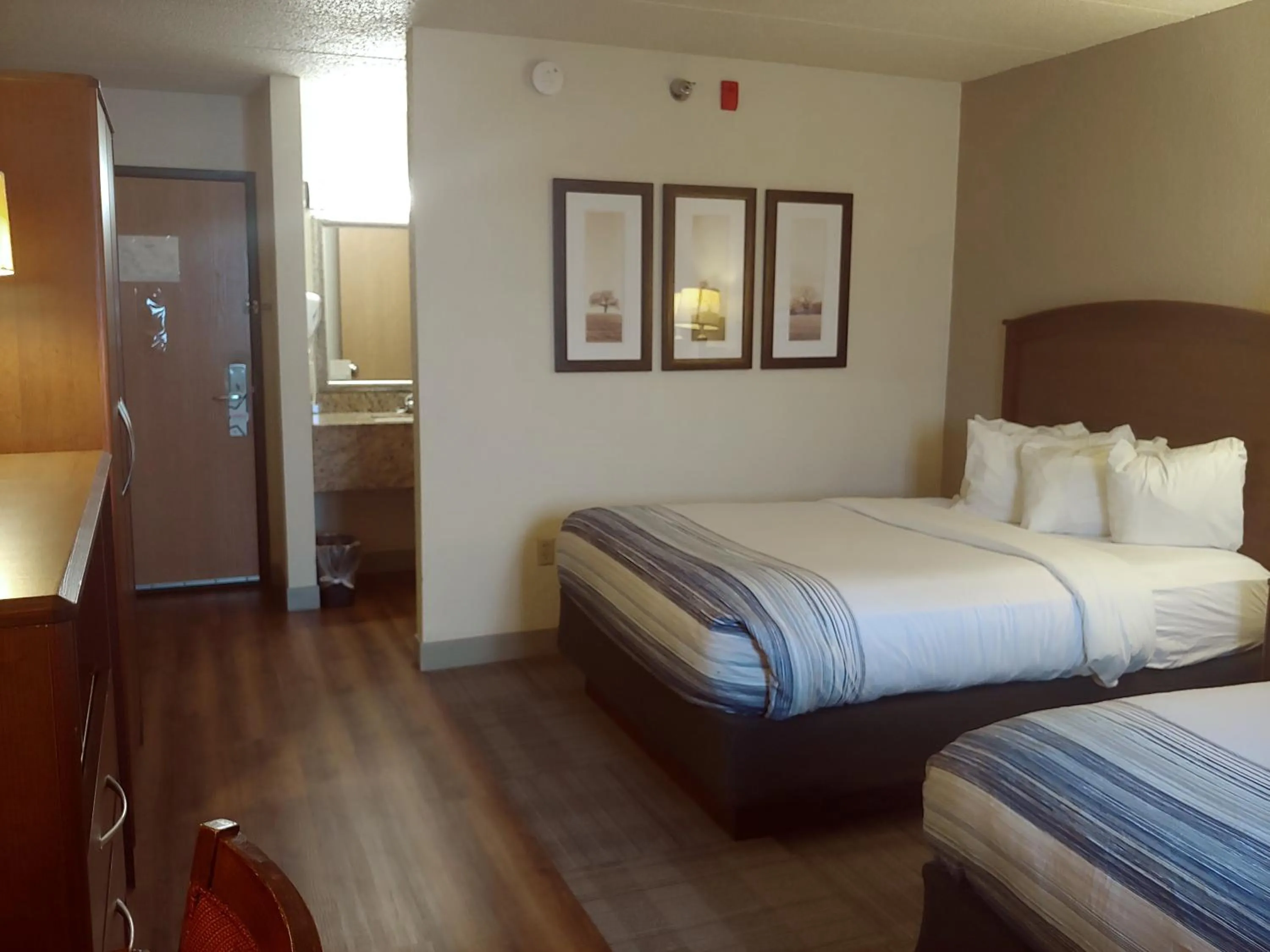 Photo of the whole room, Bed in AmericInn by Wyndham Dickinson