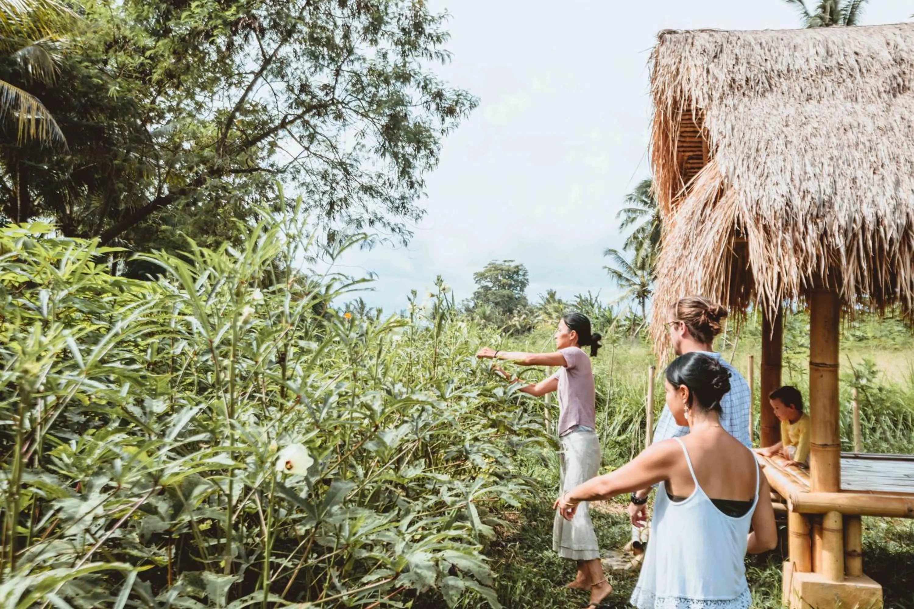 Day in Mana Earthly Paradise