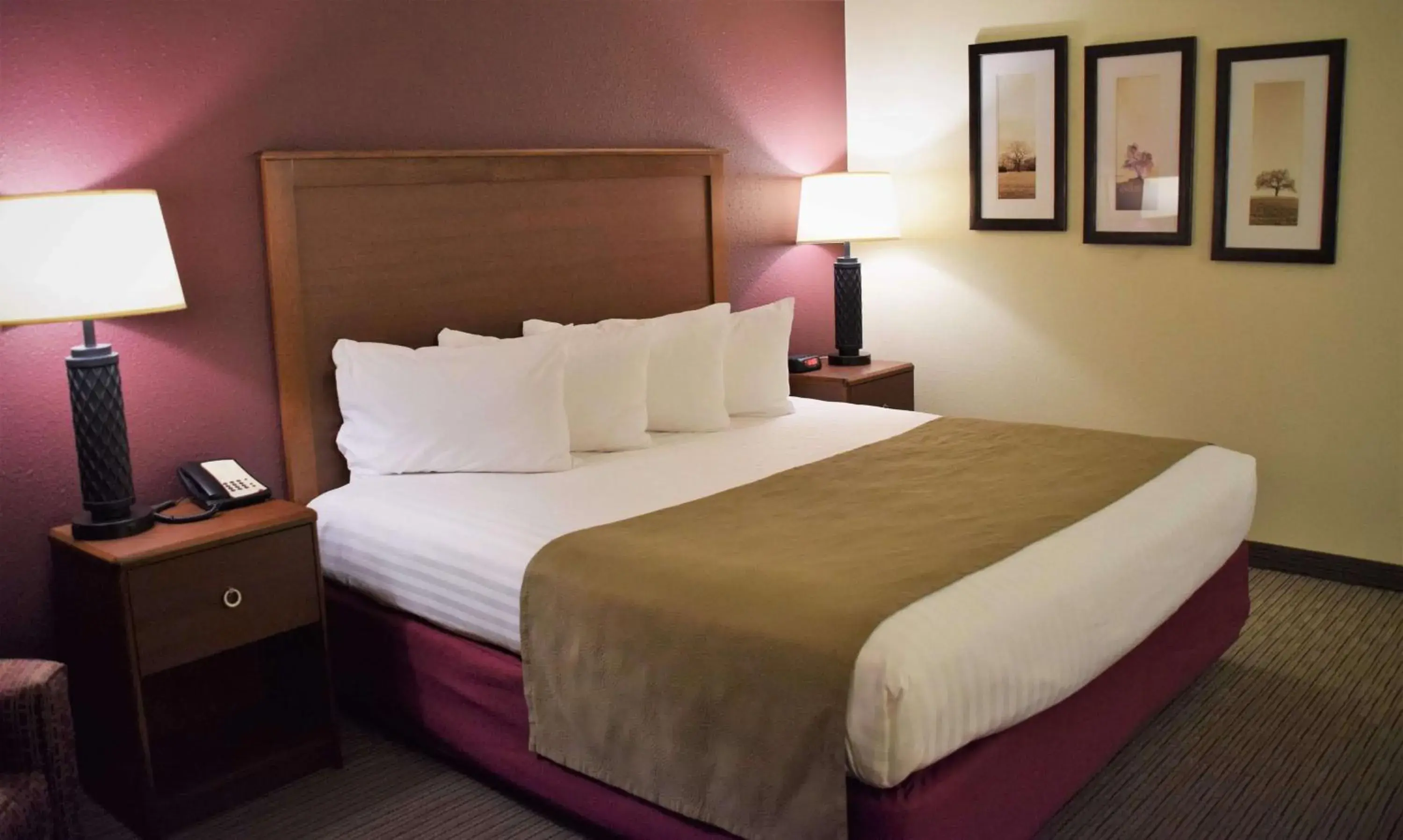 Photo of the whole room, Bed in AmericInn by Wyndham Merrill Photo of the whole room, Bed in AmericInn by Wyndham Merrill