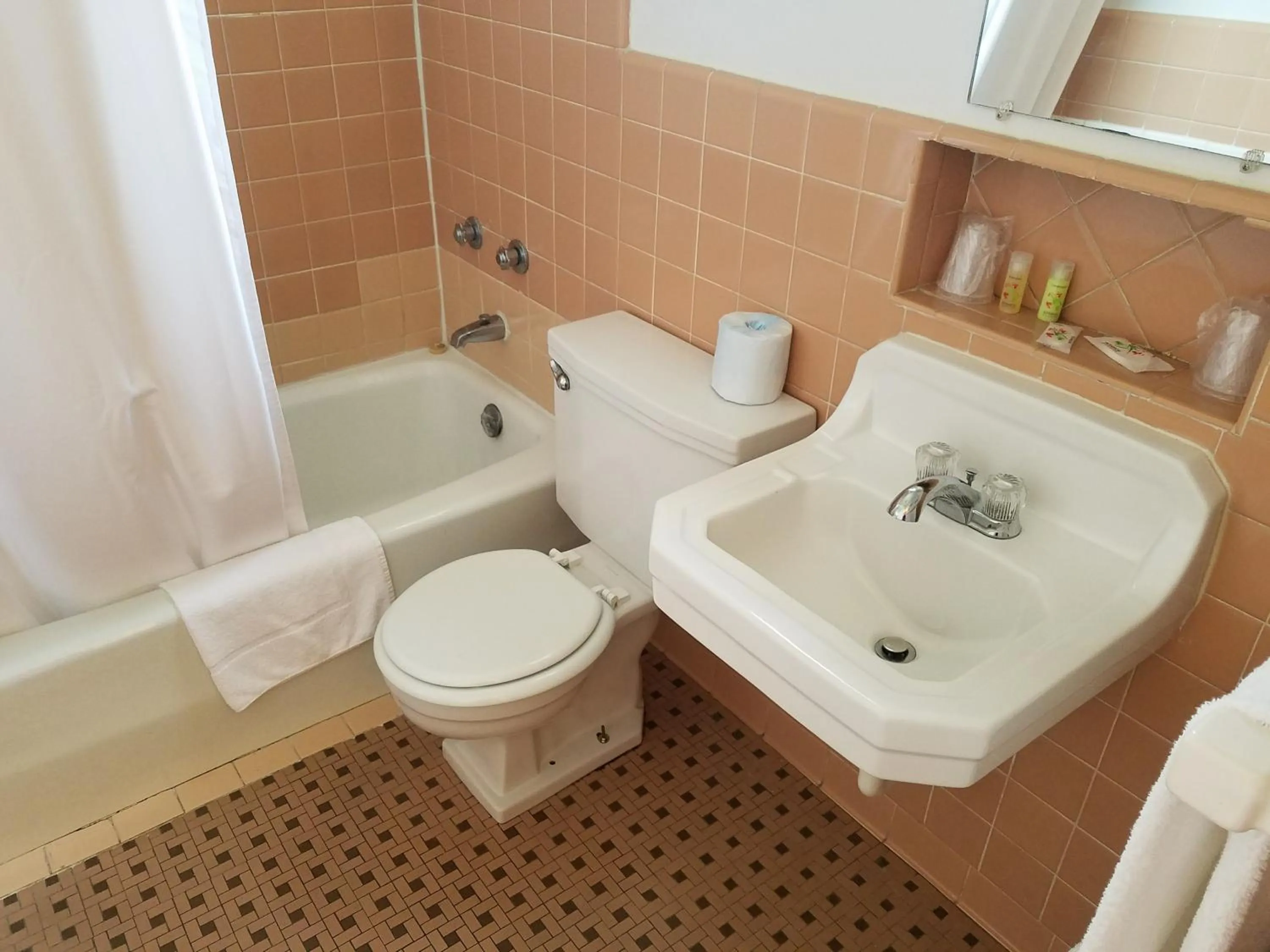 Bathroom in West Plains Motel