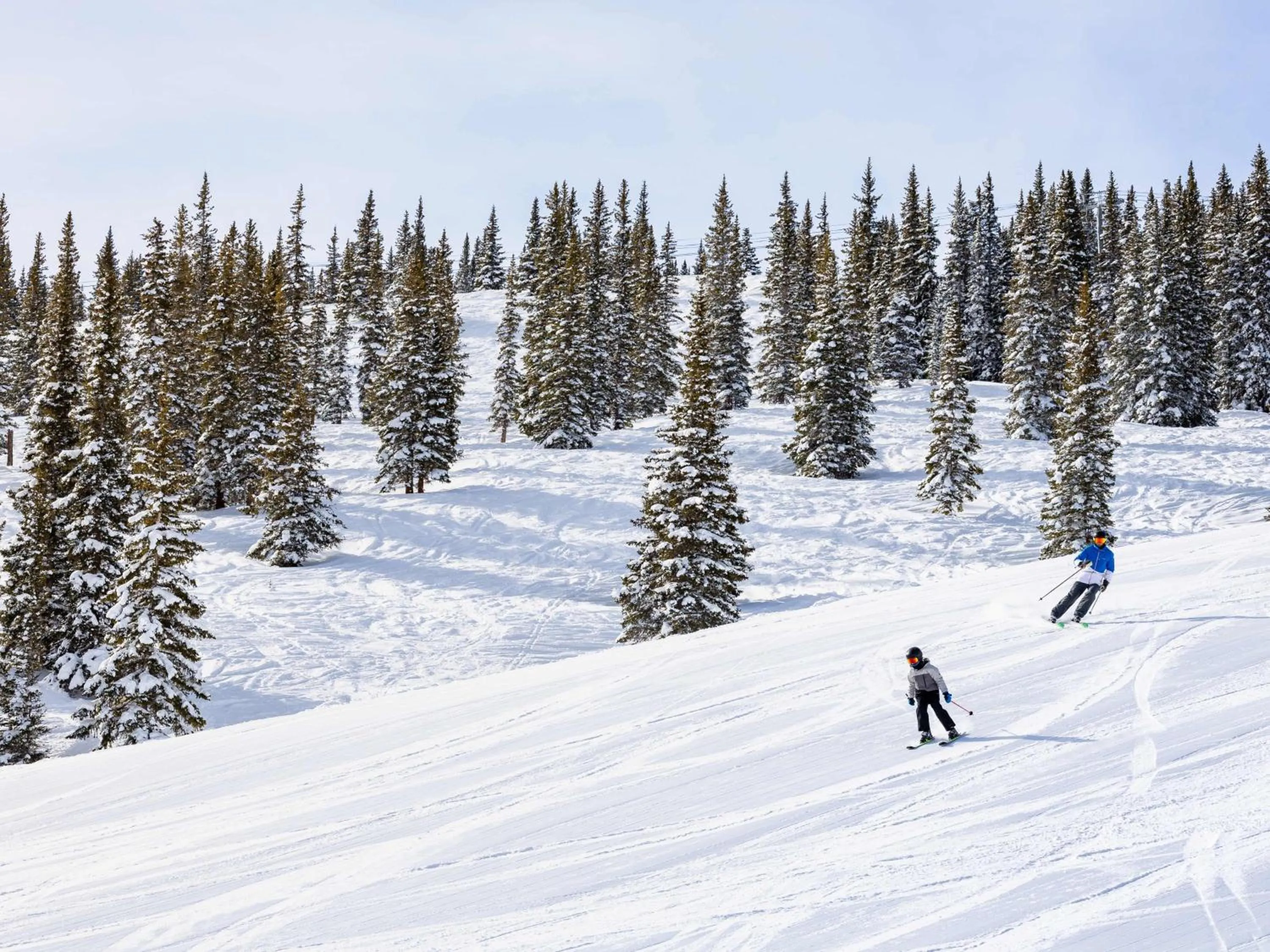 Aspenwood - CoralTree Residence Collection