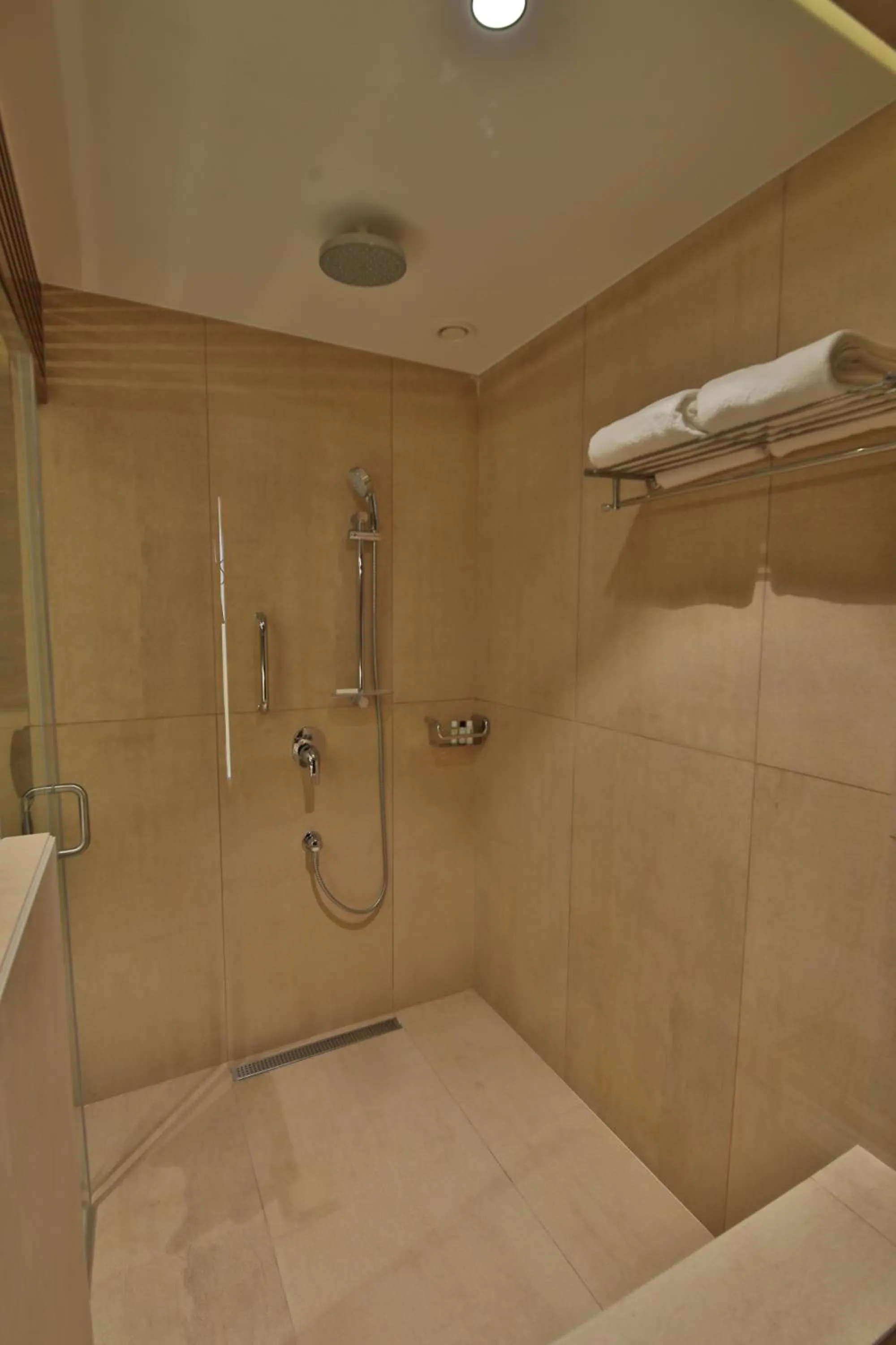 Bathroom in Sayaji Rajkot