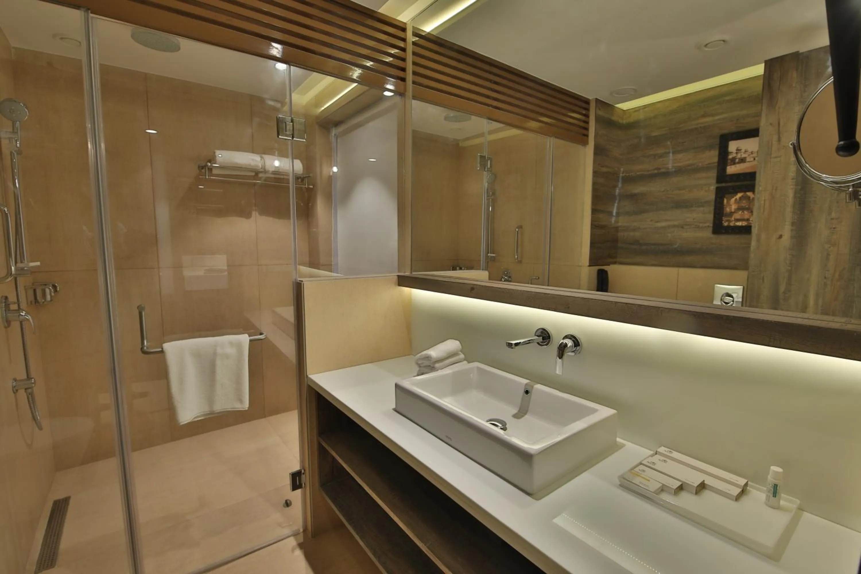 Shower in Sayaji Rajkot