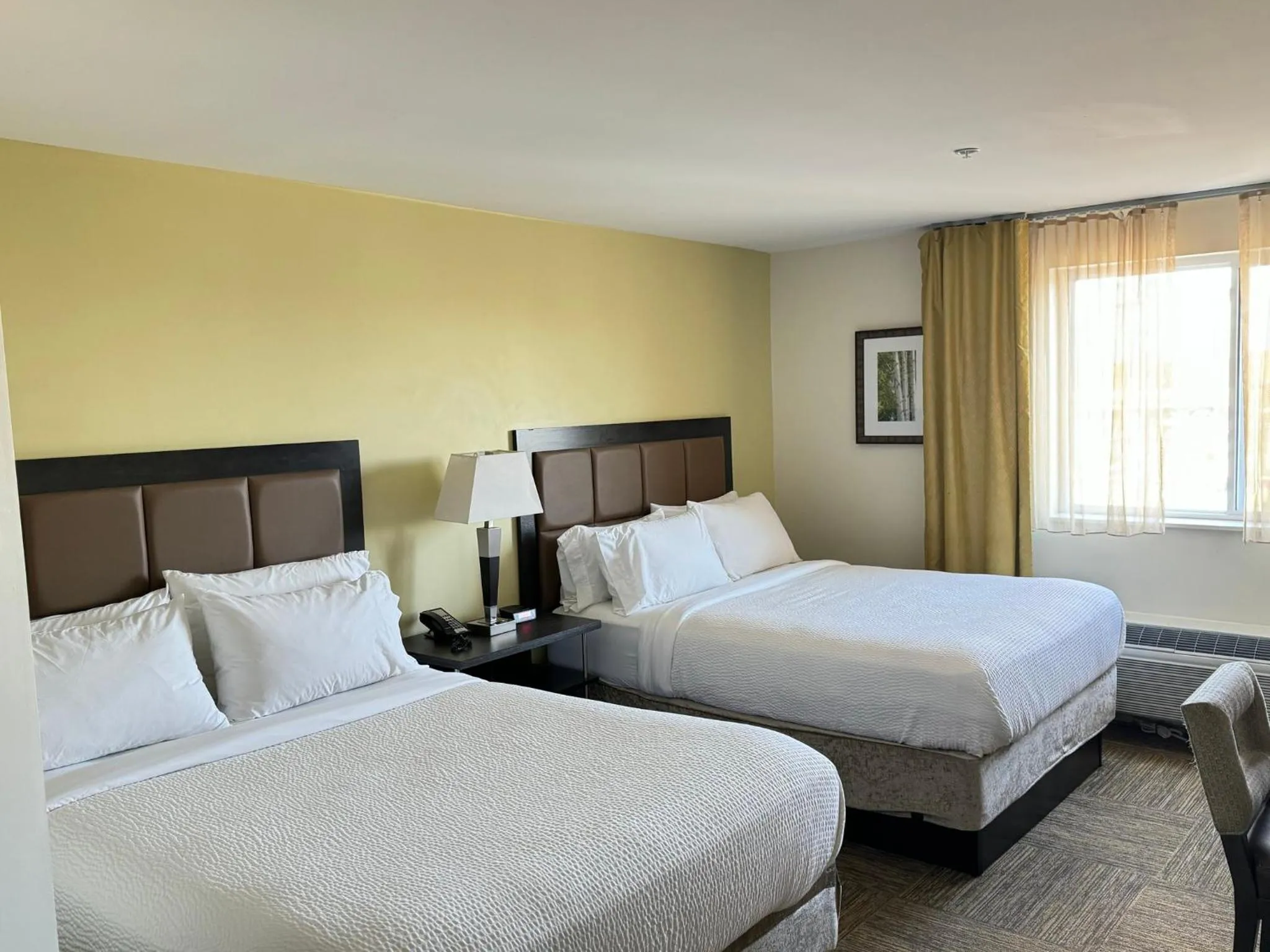 Photo of the whole room, Bed in Candlewood Suites Philadelphia - Airport Area by IHG