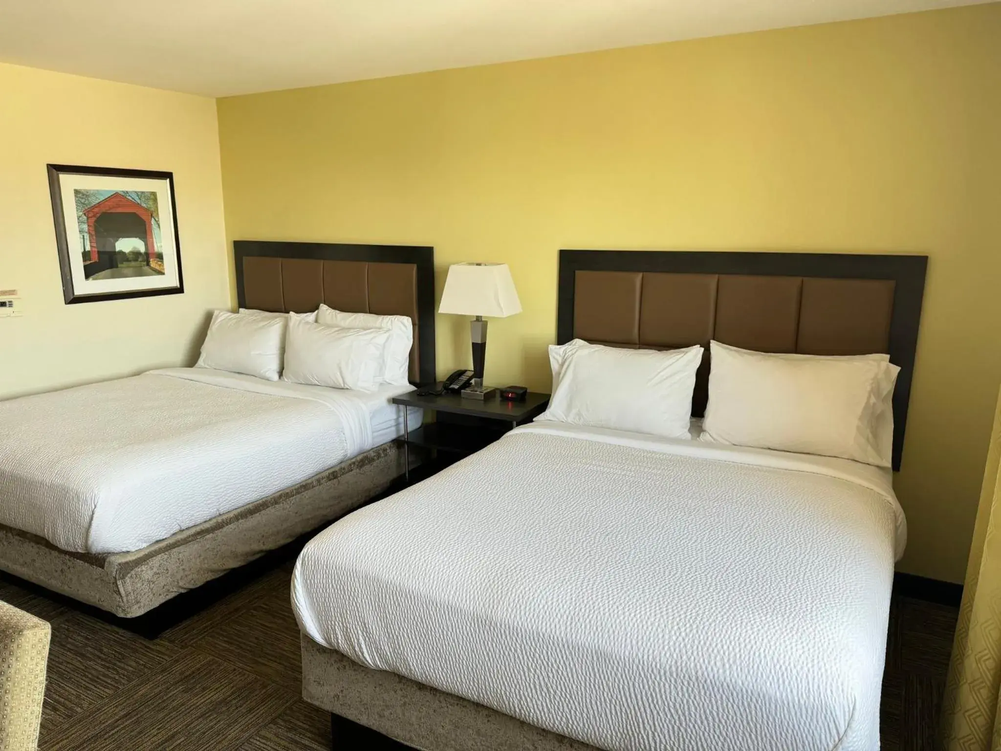 Photo of the whole room, Bed in Candlewood Suites Philadelphia - Airport Area by IHG Photo of the whole room, Bed in Candlewood Suites Philadelphia - Airport Area by IHG