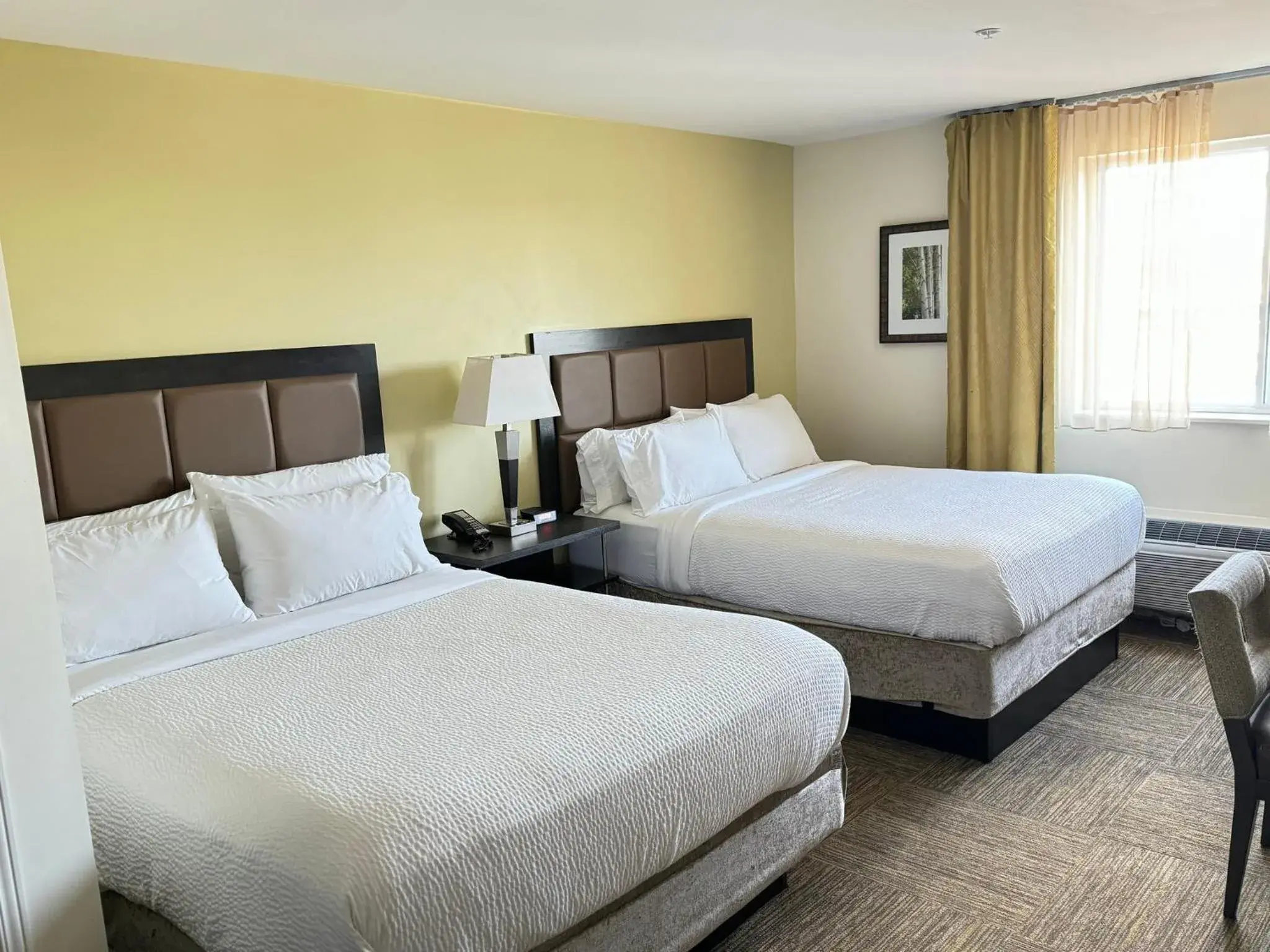 Studio Suite with Two Queen Beds and Mobility Accessible Tub in Candlewood Suites Philadelphia - Airport Area by IHG Studio Suite with Two Queen Beds and Mobility Accessible Tub in Candlewood Suites Philadelphia - Airport Area by IHG