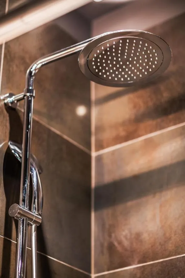 Bathroom in La Trappezienne