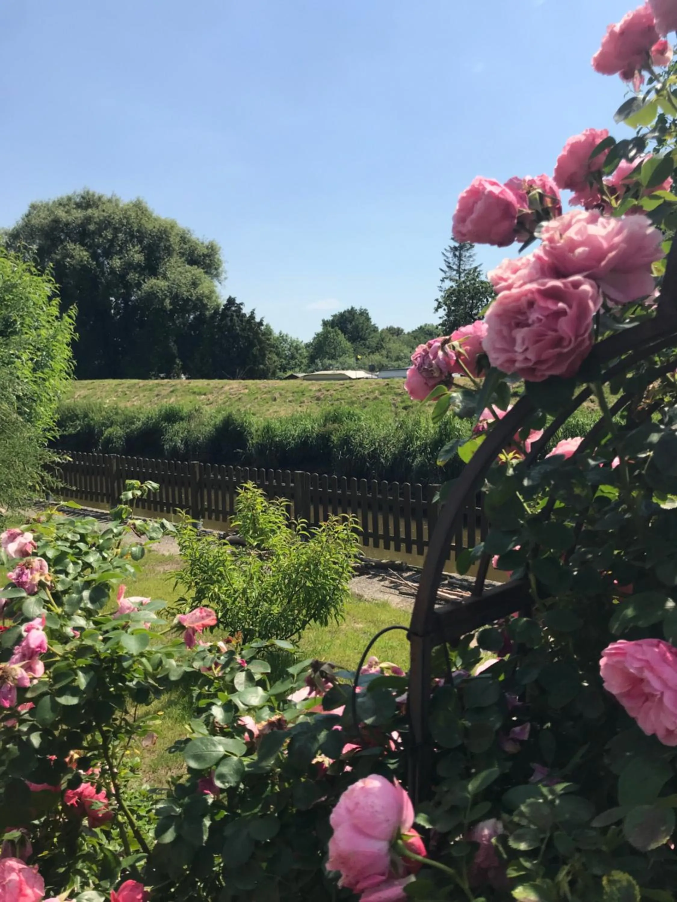Garden view in Deichschatz